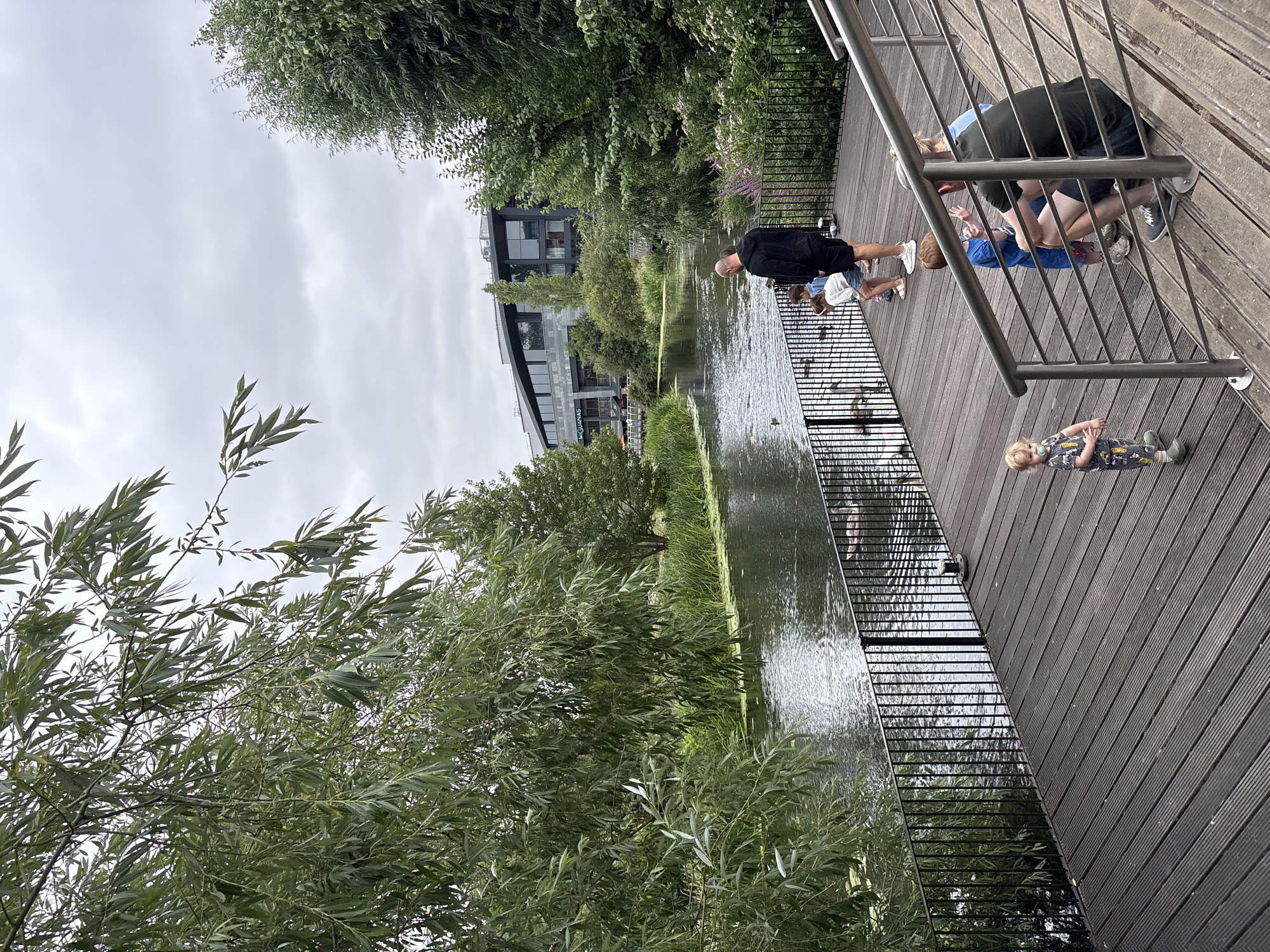 A family is gathered on a wooden deck next to a calm body of water, seemingly feeding ducks. The scene takes place on the banks of the River Chelmer in Chelmsford, United Kingdom. A modern building with large windows, possibly a restaurant or office complex, is visible across the river, surrounded by lush greenery. The weather is overcast, with a cloudy sky. The deck has a contemporary design with metal railings, and a set of stairs leads up from the right side of the frame. Several people, including adults and children, are present, interacting with each other and observing the waterfowl. The natural elements, such as the trees and the river, contrast with the man-made structures in the background.