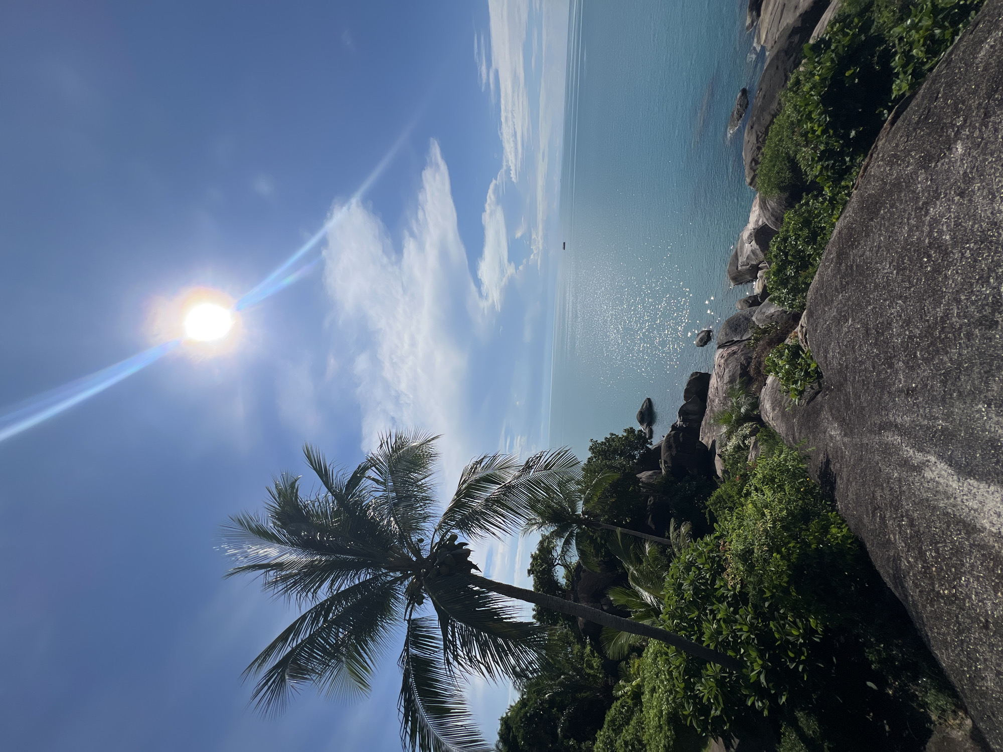 The image depicts a tropical coastal landscape in Baan Chaweng Noi, Thailand. In the foreground, large, grey rocks dominate the lower portion of the frame, with lush green vegetation growing around them. A prominent palm tree, laden with coconuts, stands tall to the left, its fronds reaching towards the bright blue sky. The sea, a vibrant turquoise, stretches out to the horizon, its surface shimmering with sunlight. A single, small boat is visible in the distance. The sun, positioned high in the sky, casts a strong glare, creating lens flares that streak across the image. The scene is characterized by clear blue skies with scattered white clouds, suggesting a sunny day. The environment appears serene and natural, typical of a tropical island.