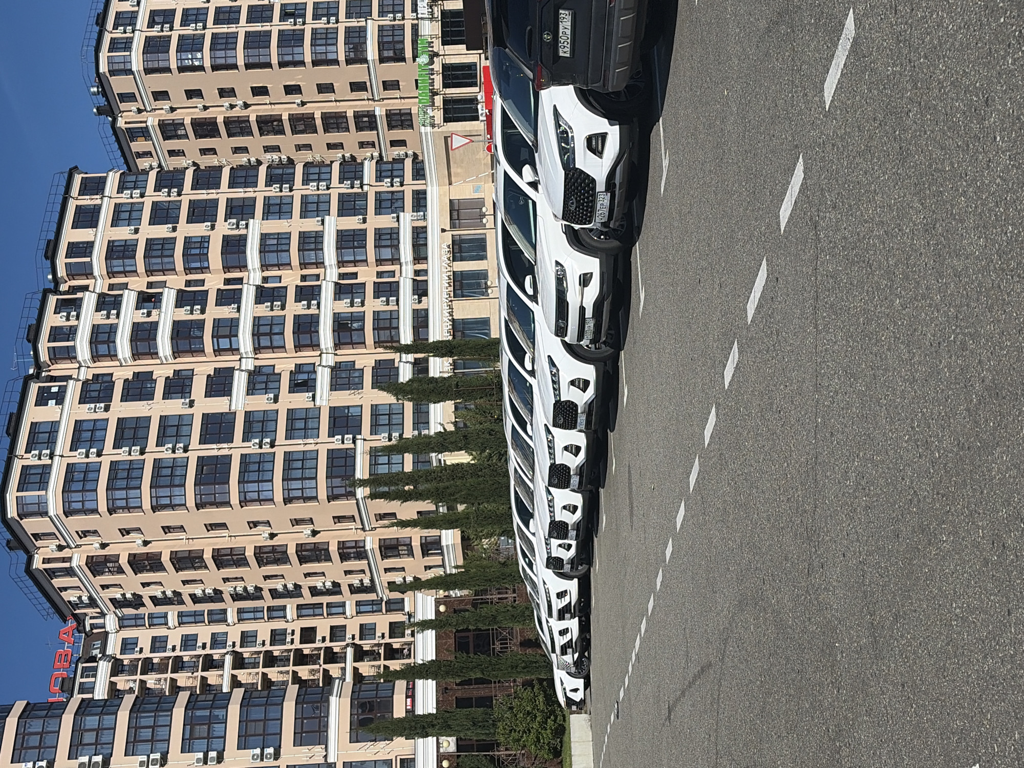 The image captures a bright, sunny outdoor scene featuring a line of parked cars alongside a large, modern building. In the foreground and mid-ground, a row of predominantly white SUVs/crossovers is neatly parked on an asphalt road marked with white dashed lines. The cars are facing away from the viewer, with their front grilles visible. The lead vehicle appears to be a dark-colored SUV.
Beyond the cars, a prominent, multi-story building dominates the background. It features a light beige facade with numerous large, dark-paned windows arranged in a rectangular grid, often with multiple air conditioning units installed below them. The building exhibits a contemporary architectural style with subtly curved sections. Tall, slender evergreen trees are planted in the space between the parked vehicles and the building.
The bright sunlight, clear blue sky, and strong shadows cast by the cars suggest the time of day is midday or early afternoon. The weather is clear and sunny.
Visible text includes several Russian license plates on the parked vehicles: "K950PY 193" (on the black SUV), "K267EH 323", and "C033PC 193" (on white SUVs). The region codes "193" and "323" correspond to Krasnodar Krai, where Sochi is located. A green sign on the building has partially legible Cyrillic text, possibly "ВЕХУАРЕН ЦИПАВА". Another red sign on a lower part of the building shows the Cyrillic word "ЛОВА". The scene depicts an orderly street or parking area in Sochi, Russia.