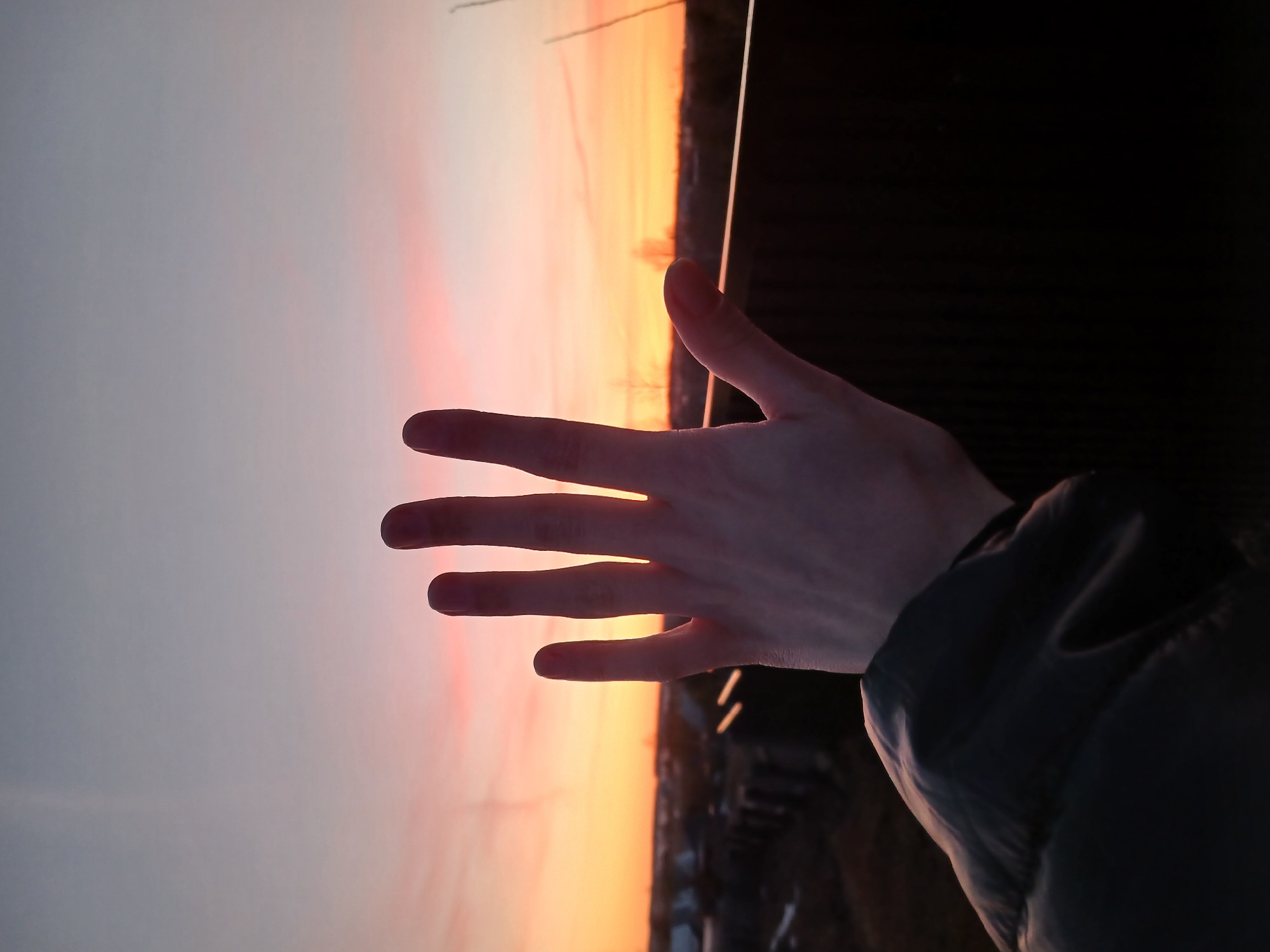 The image captures a human hand, likely a left hand, held up with fingers slightly spread, partially silhouetted against a vibrant sunset or sunrise sky. The palm of the hand faces away from the viewer, allowing warm light to pass between the fingers and create a glowing outline. A portion of a dark-colored jacket or sleeve is visible on the lower right, covering the person's forearm.
The sky forms the dominant background, showcasing a gradient of rich colors. Bright oranges and yellows are prominent near the horizon and behind the hand, transitioning into softer pinks, purples, and a clear, pale grey-blue towards the left. The strong backlight from the sun creates a distinct silhouette of the hand, with some light flare visible around the fingers.
Below the colorful sky, a dark, indistinct silhouette of a landscape or urban elements is visible along the horizon line, consistent with a view over Bolshaya Sosnova, Russia. This dark strip likely consists of distant trees, buildings, or other structures. A thin, dark line, possibly a wire or antenna, extends diagonally into the upper left portion of the sky. On the far right edge of the frame, a dark, vertical element, possibly a railing or architectural feature, further suggests the photo was taken from an elevated vantage point. The scene conveys a peaceful atmosphere, highlighting the beauty of natural light at dawn or dusk. There is no visible text in the image.