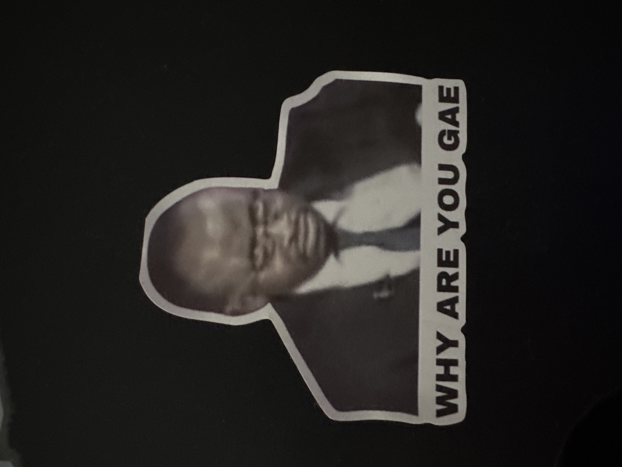 A sticker featuring a black and white image of a man in a suit with the text "WHY ARE YOU GAE" is adhered to a dark surface. The sticker is horizontally oriented. The location in Plovdiv, Bulgaria is not identifiable.