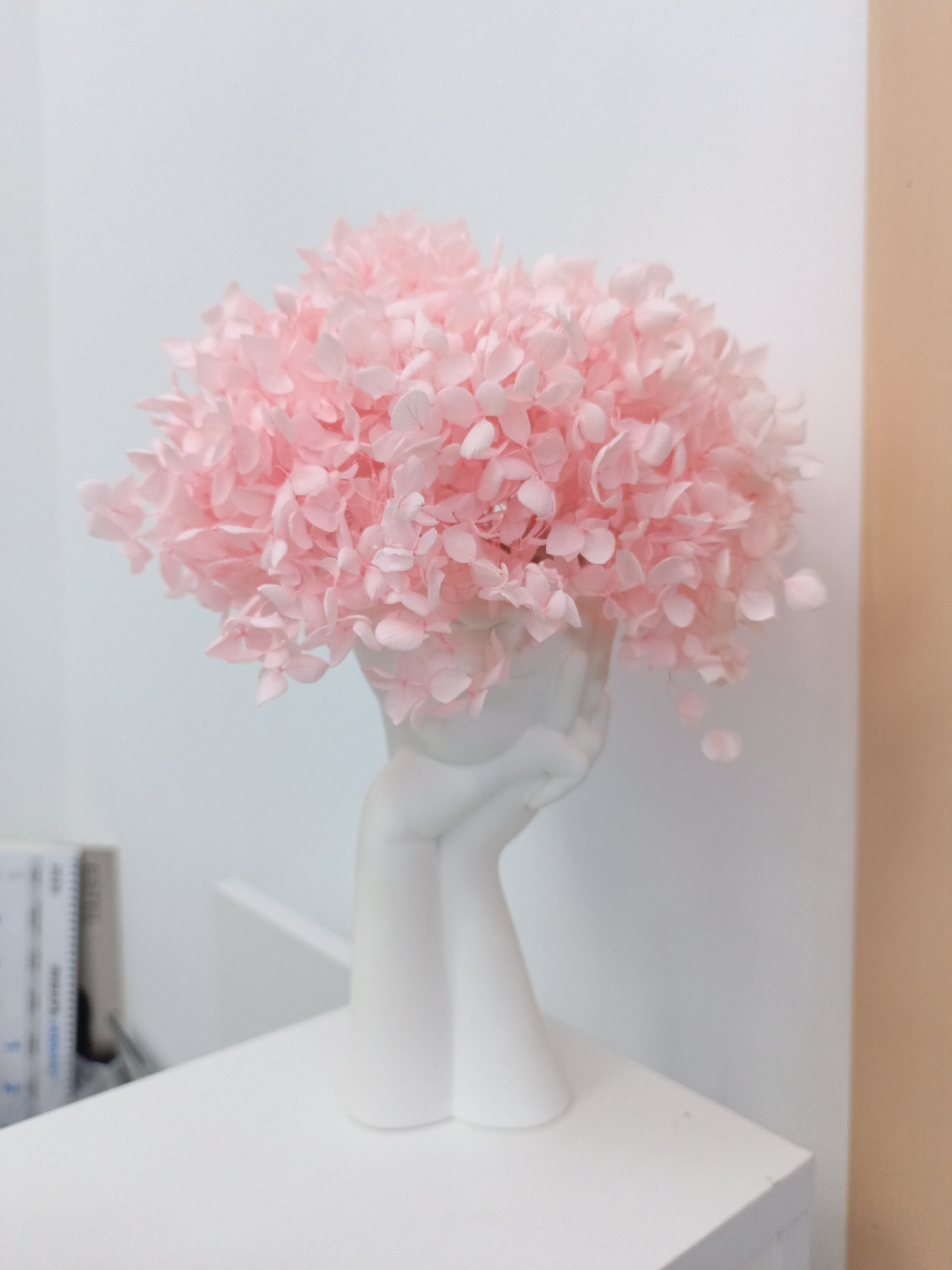 A close-up shot features a vase in the shape of a pair of hands, holding a bouquet of fluffy, light-pink flowers. The vase sits on a white surface, possibly a table or shelf, against a backdrop of white and light-peach walls. Part of a book or calendar is visible on the left side of the frame. The location is not discernible from the image.