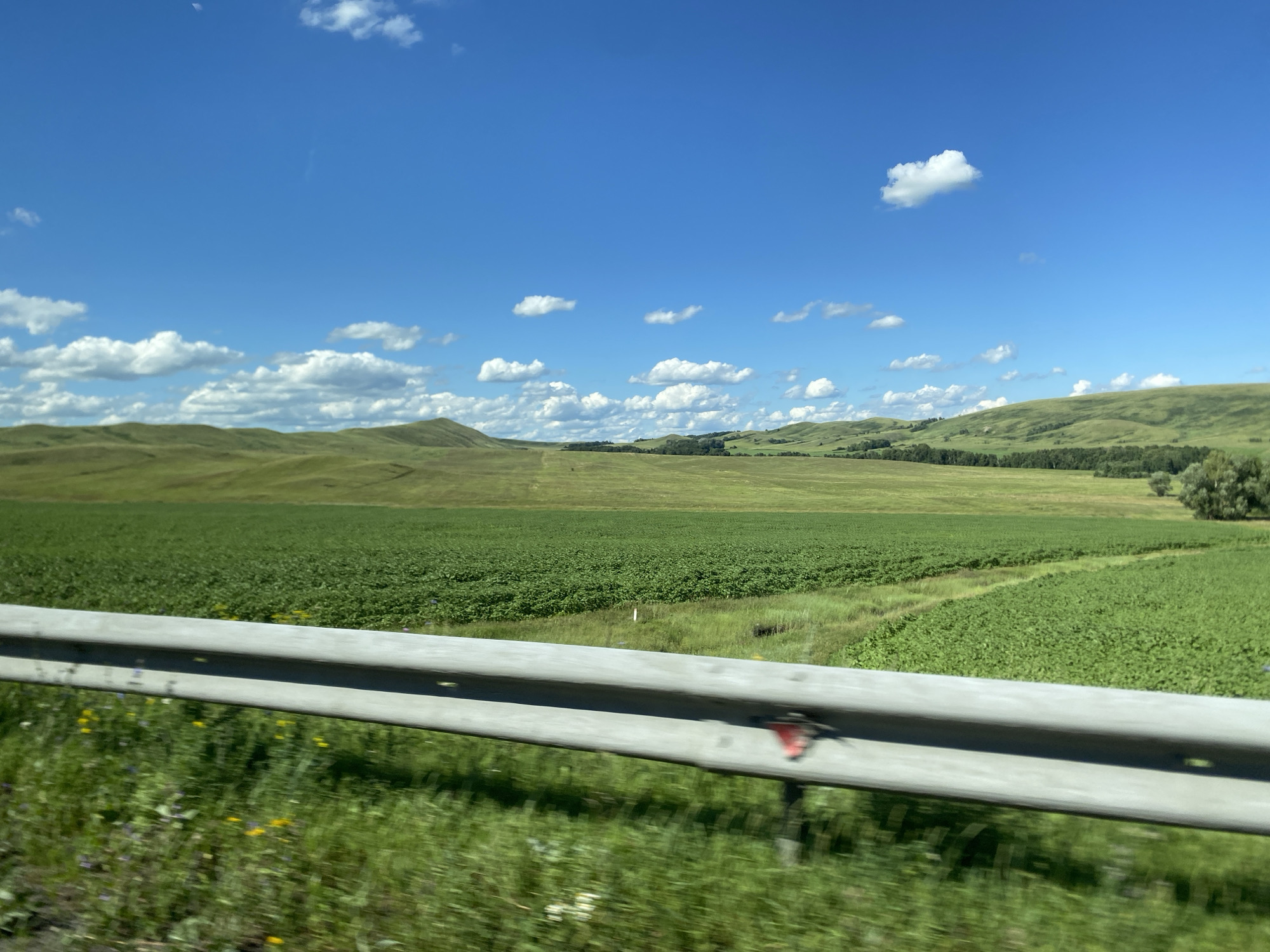 The image depicts a rural landscape under a bright blue sky with scattered white clouds. The foreground features a gray metal guardrail, slightly blurred due to motion, with green grass and some wildflowers growing beside it. Beyond the guardrail, a vast field of vibrant green crops stretches towards rolling hills in the background. The hills are covered in green vegetation, with some trees scattered across the landscape. The scene appears to be a view from a vehicle traveling along a road, indicated by the blur in the foreground and the perspective. The location is identified as Isyangulovo, Russia.