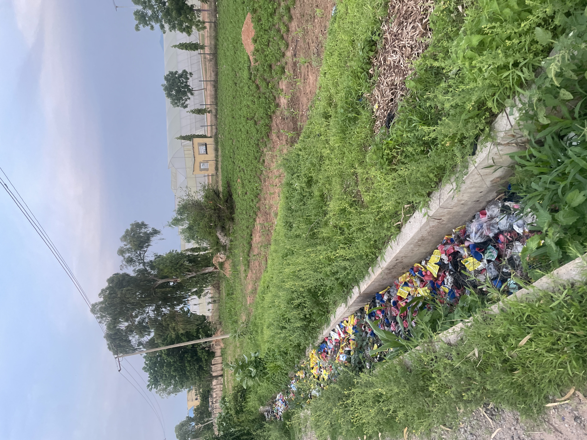 In Jalingo, Nigeria, a concrete drainage channel is filled with a large amount of colorful, scattered trash, including plastic bottles and wrappers. Lush green vegetation surrounds the channel. In the background, rows of greenhouses are visible, along with trees, a utility pole with power lines, and a small yellow building. The overall environment appears to be rural or semi-rural, with evidence of both agricultural activity and litter.
