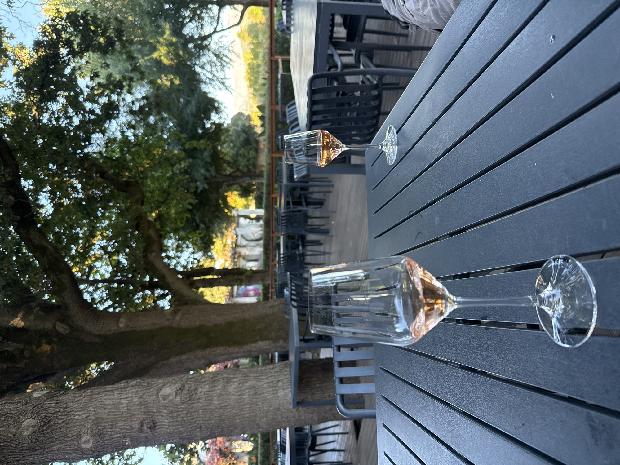 This media file captures an outdoor dining or lounge area, likely at a winery or restaurant, within the Stellenbosch Local Municipality, South Africa. The scene is dominated by a dark, slatted outdoor table, on which two elegant wine glasses filled with rosé wine are placed. One glass is closer to the viewer, while the other is slightly further back.
In the background, lush, mature trees with thick trunks and dense green foliage create a natural and shaded ambiance. Sunlight filters through the leaves, creating dappled patterns. Beyond the immediate tree line, a bright, golden-lit landscape is visible, suggesting distant vineyards or rolling hills, characteristic of the Stellenbosch region. Dark outdoor chairs with slatted designs are arranged around tables, indicating a seating area. Part of a person's leg or lap, possibly covered by light-colored fabric, is visible at the very top edge of the main image, suggesting someone is seated at the table.
The lighting indicates late afternoon or early evening, often referred to as golden hour, with warm hues illuminating the distant landscape. The overall atmosphere appears peaceful and relaxing, perfect for enjoying wine outdoors. No discernible text is visible in the image.