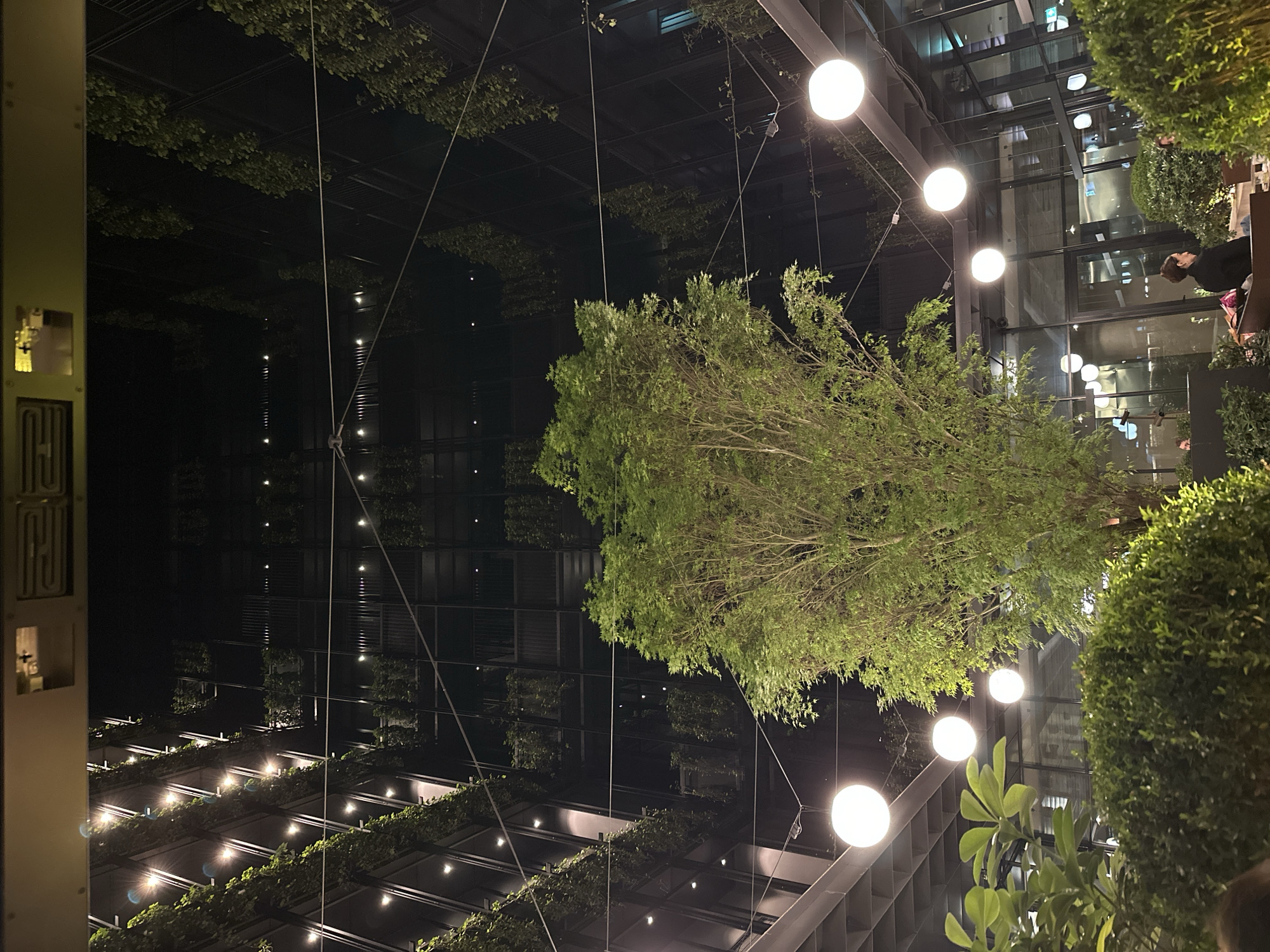 The image captures an interior space in Tbilisi, Georgia, seemingly an open-air courtyard or atrium within a building. The view is angled upwards, showing a dark ceiling or upper structure crisscrossed with thin cables or wires holding suspended spherical lights. Lush greenery is prominent, including a large tree with dense foliage positioned centrally. Climbing plants or ivy cover sections of the upper structure. A vertical building facade with a grid-like pattern is visible, possibly incorporating glass elements that reflect light. The lighting is dim, primarily from the suspended lights, and there is minimal human activity in the visible area, though a person is faintly seen on the right side of the frame.
