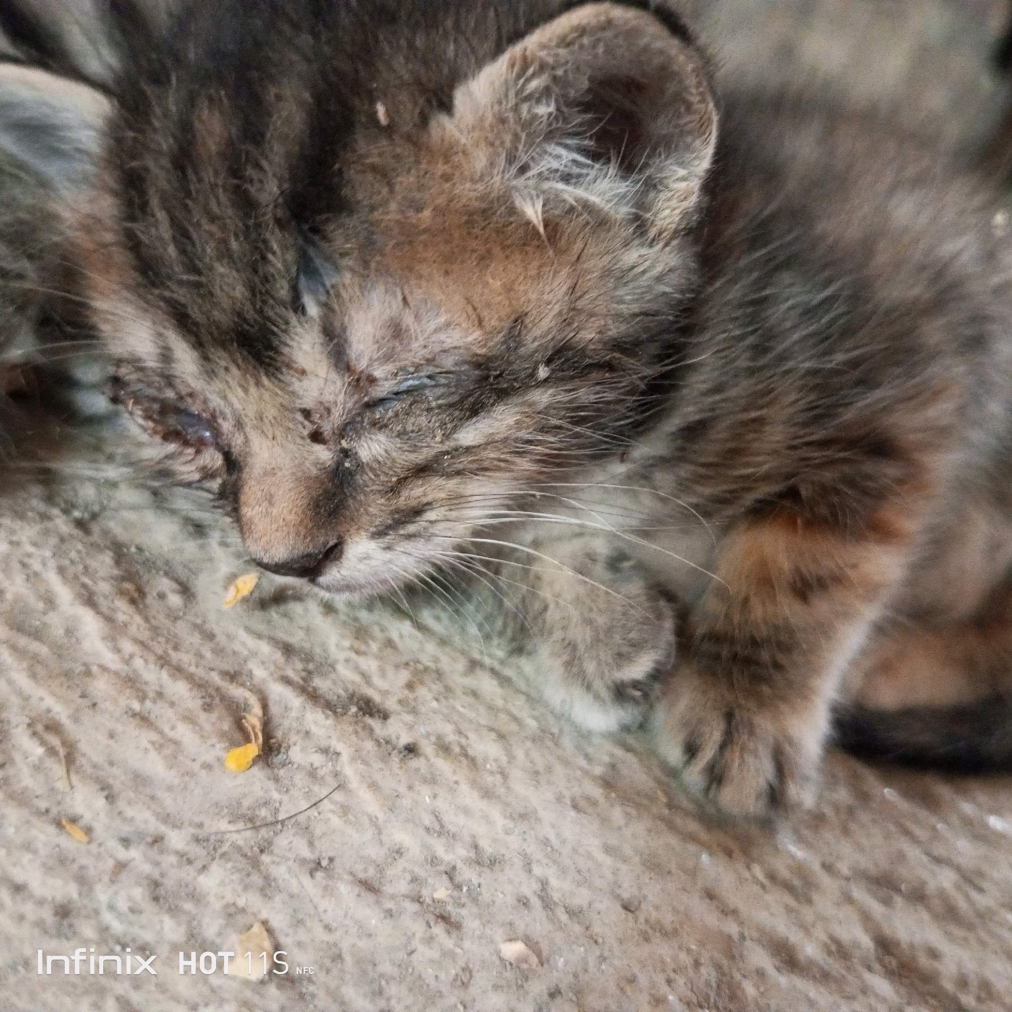 The image shows a close-up, eye-level view of a very young kitten sleeping on a textured, light-colored surface. The kitten is lying on its side, with its eyes closed and its face turned slightly to the left. Its fur is a mix of brown and grey stripes, with some patches of lighter fur on its chest and legs. The kitten's left eye appears to be partially open and possibly inflamed or crusted. There are small, yellowish specks on the surface near the kitten's nose, which could be food debris. The background is out of focus, but appears to be similar in texture to the surface the kitten is lying on. The timestamp on the bottom left corner of the image reads "Infinix HOT 11S NFC".
The location is identified as Sukaslamet, Indonesia. However, there are no specific visual cues within the image that directly indicate this location. The scene is an outdoor setting, likely on the ground or a rough surface.