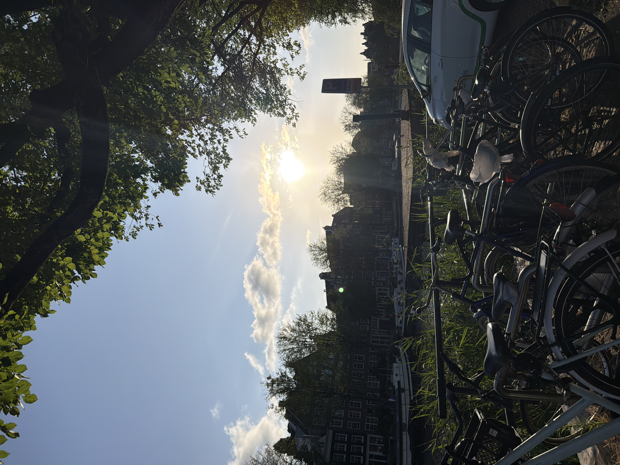 A low-angle, full shot captures a sun-drenched canal scene in Amsterdam, Netherlands, on a clear day with scattered clouds. The foreground is dominated by a row of parked bicycles, their frames casting shadows on the sandy ground. Some of the bicycle seats are covered with plastic bags. Behind the bicycles, a metal railing runs horizontally, separating them from a strip of tall green grass. Beyond the grass, the tranquil waters of a canal reflect the bright sky. Several houseboats are moored along the canal, their white and dark hulls visible. In the background, a row of traditional Dutch canal houses with gabled roofs stands tall, their dark brick facades contrasting with the bright sky. The sun is high in the sky, creating a bright, hazy glow with lens flare visible. A white car with green trim and the word "Wheels" is parked to the right of the frame. A street sign with a blue parking symbol is also visible behind the bicycles. The upper portion of the frame is filled with the lush green leaves and dark branches of a large tree, creating a natural canopy over the scene.