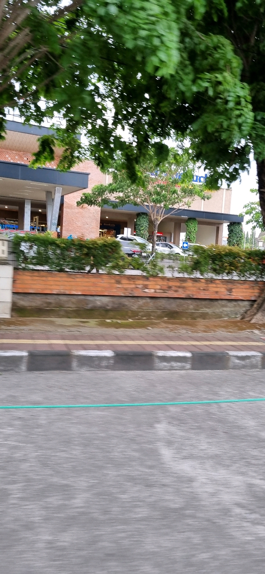 The image depicts the exterior of a building, likely a commercial establishment, in Denpasar, Indonesia. The building features a facade constructed with brick and some darker material, possibly concrete or metal accents. Large columns support an overhang. Green foliage, including trees with dense leaves and trimmed hedges, is visible in front of the building, partially obscuring the view. The ground in front of the foliage appears to be a sidewalk or paved area, with a yellow and gray striped border. Beyond this, a road is visible, with a green line painted on its surface. Cars are parked or driving in front of the building. The overall impression is that of a well-maintained commercial area, with lush vegetation adding to the urban landscape.