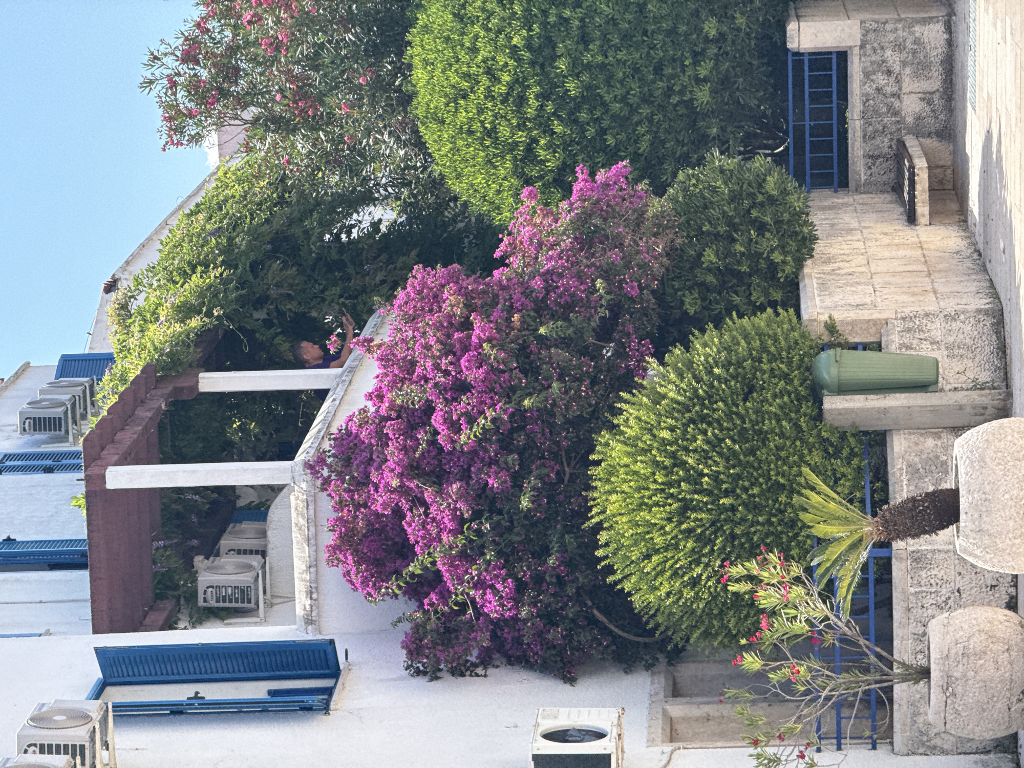 The image depicts an outdoor scene with a building facade, lush vegetation, and a sky with scattered clouds. On the building, there are visible air conditioning units and blue shutters on windows. A person is partially visible on a balcony, tending to plants. In the foreground, there are large stone planters containing various plants, including a palm tree and a flowering bush. A green trash can is also visible. The architectural style suggests a Mediterranean location, consistent with Budva, Montenegro. The overall impression is one of a sun-drenched, vibrant, and well-maintained urban environment.