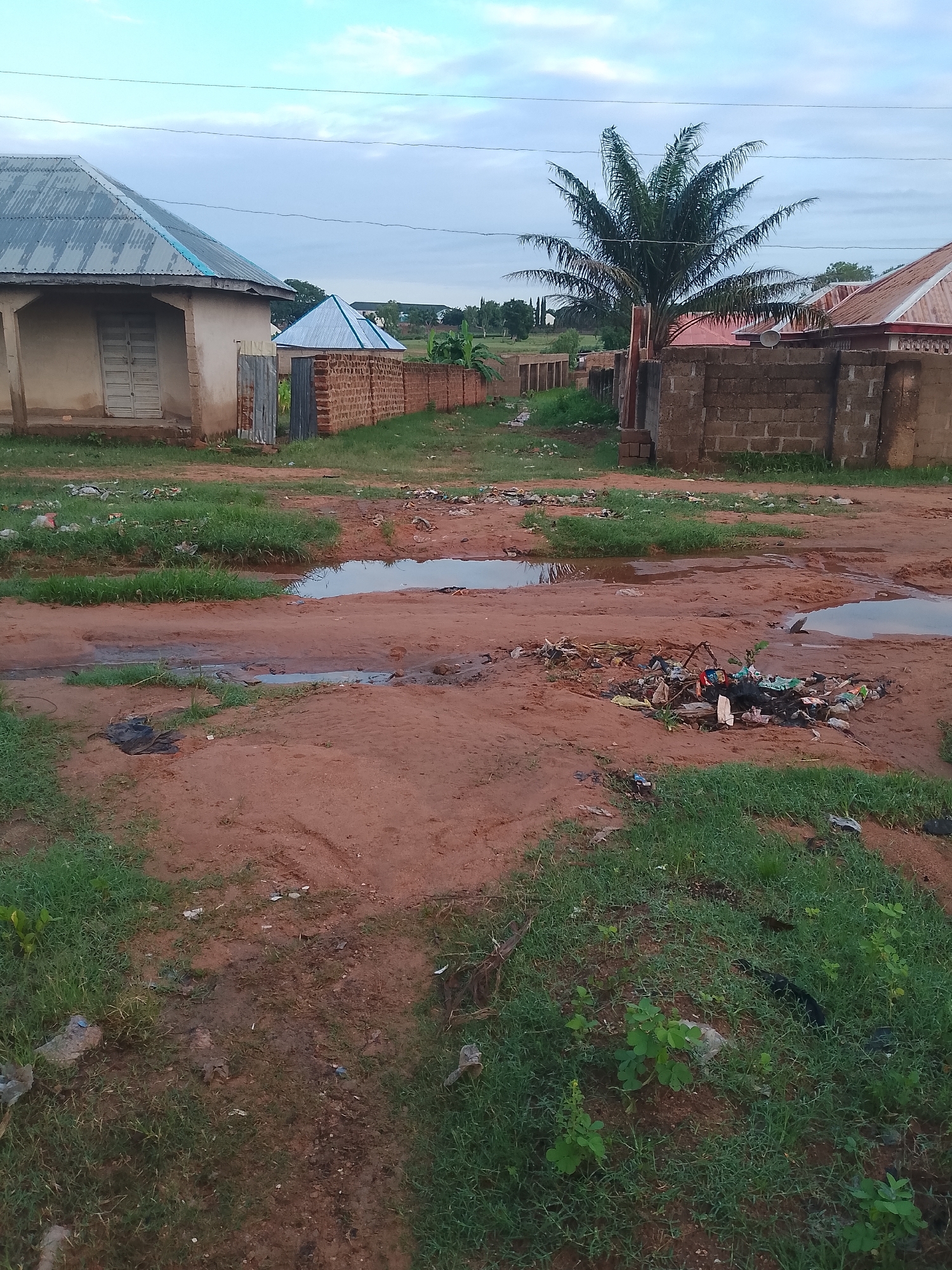 The image depicts a rural or semi-urban scene with a dirt road or path. Several buildings are visible, including a house with a corrugated metal roof and a beige exterior, and another structure with a similar roof and a brick wall. A tall palm tree stands prominently in the background. The area appears unkempt, with visible trash scattered on the ground and several puddles of water. The sky is overcast, suggesting either dawn, dusk, or cloudy weather. The overall impression is one of a modest, possibly developing, community.