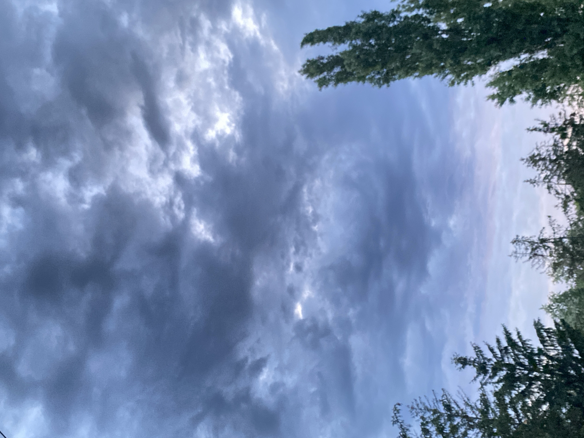The image depicts a view of the sky with trees visible at the edges. The sky is predominantly filled with dark, ominous clouds, suggesting an overcast or stormy weather condition. There is a hint of sunlight breaking through the clouds in one area. The trees are green and dense, partially framing the sky. The image appears to be taken from a low angle, looking upwards. The city is not mentioned in the image, and therefore the location cannot be determined.