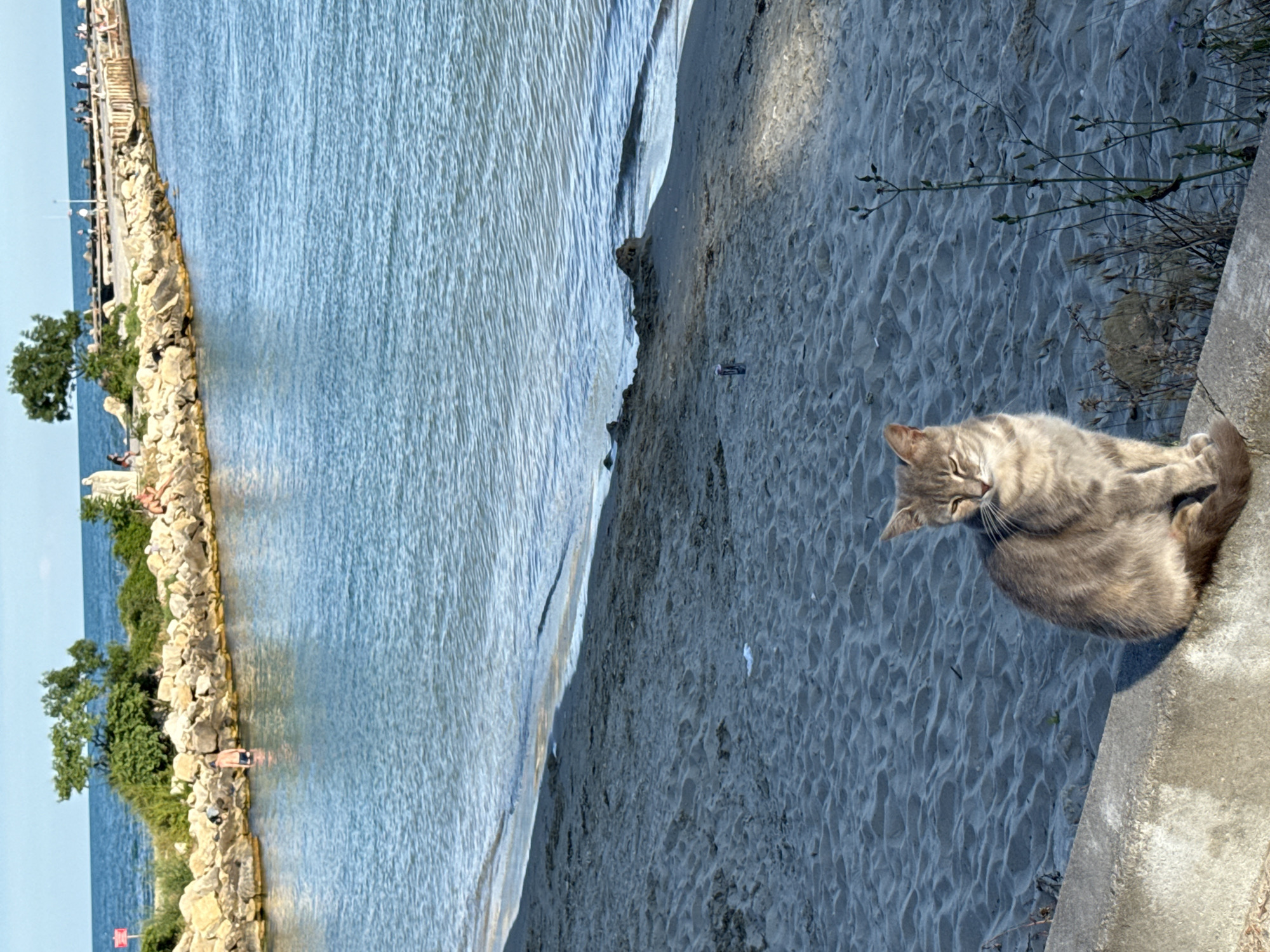The image depicts a serene scene by the water's edge. In the foreground, a striped grey cat is curled up on a concrete ledge, its eyes partially closed, suggesting a relaxed or sleepy demeanor. The cat is positioned on the right side of the frame, facing left. Behind the cat is a sandy beach, with visible footprints and ripples in the sand.
To the left of the beach, a body of water, likely the sea or a large lake, stretches out. The water is a bright blue with gentle ripples on its surface, indicating calm weather. Along the shoreline, a rocky embankment separates the water from the sand. On top of this embankment, there are patches of green vegetation, including a small tree. A wooden walkway or pier runs along the rocky edge, with several people visible, some standing and others seated. Further out in the water, near the embankment, a few individuals can be seen, one appearing to be swimming or wading.
The lighting suggests it is daytime, possibly late morning or early afternoon, with the sun casting shadows on the sand and the cat. The overall mood of the image is peaceful and tranquil, capturing a moment of quietude at a recreational waterfront. There is no visible text in the image.
