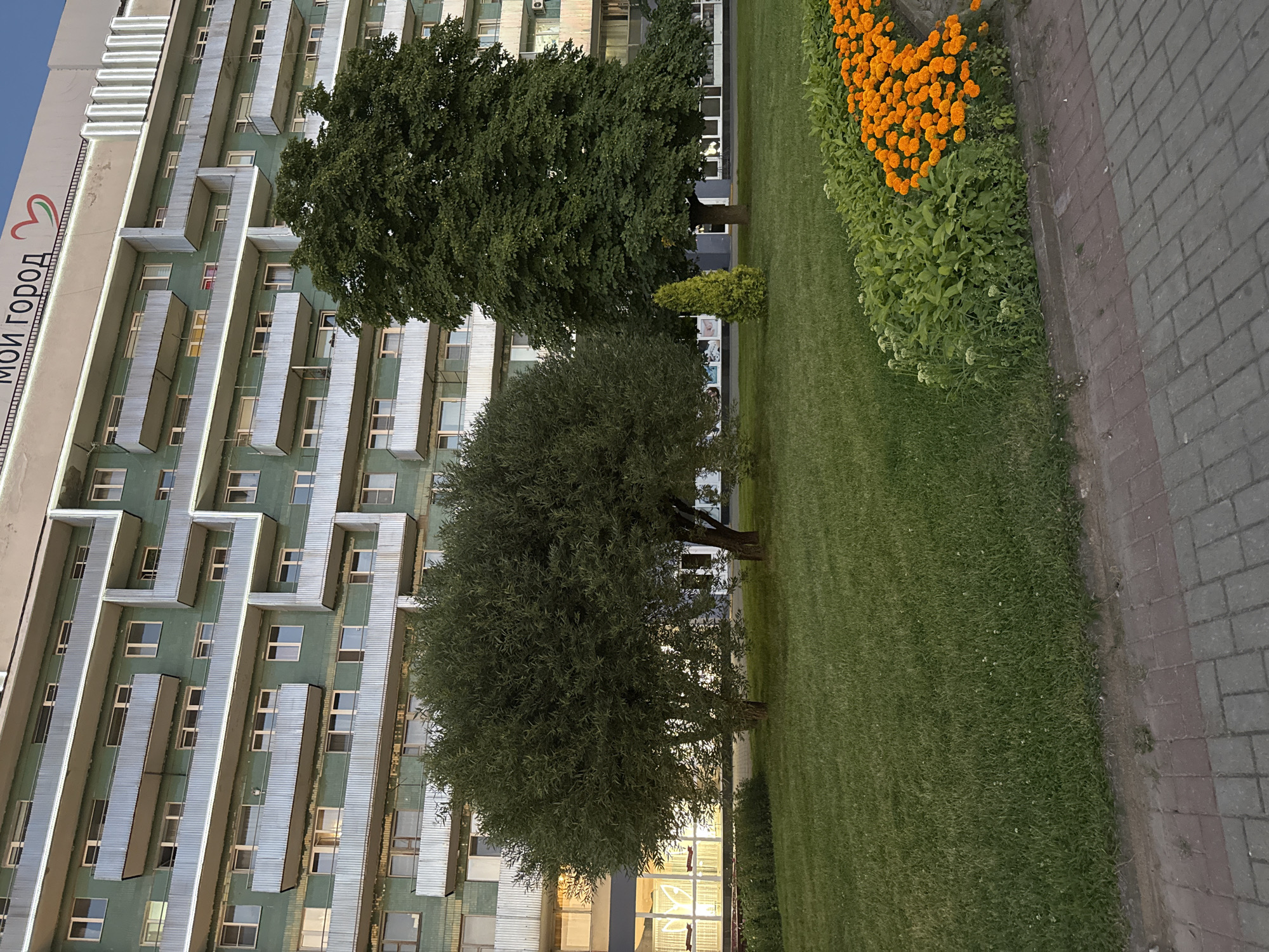 The image shows a multi-story residential building with a green facade and numerous balconies. At the top of the building, text that reads "МОЙ ГОРОД" (My City) and a heart symbol are visible. In front of the building, there is a well-maintained lawn with several trees. To the right of the lawn, there is a flower bed filled with bright orange marigolds. A paved walkway made of red and gray bricks runs along the bottom of the image. The scene is likely located in the city of Mahilyow, Belarus, as indicated by the text on the building. No people are visible in the image.