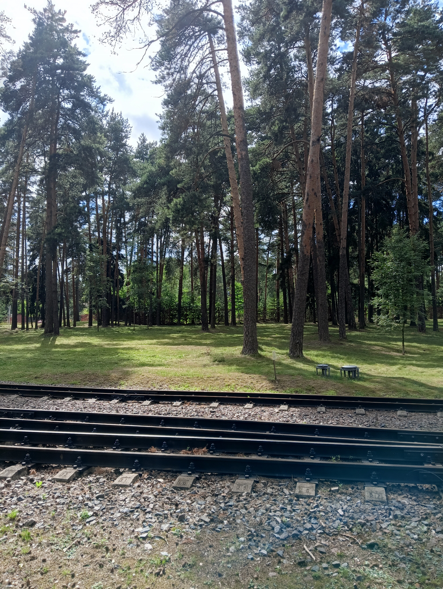 The image captures a view of a railway track with multiple parallel lines in the foreground. Beyond the tracks, a grassy clearing is visible, dotted with pine trees of varying heights, casting shadows on the ground. In the middle ground of the clearing, two small, dark-colored bench-like structures are placed. The background is dominated by a dense forest of pine trees under a cloudy sky. The scene is set in the city of Kratovo, Russia, known for its pine forests and dachas.