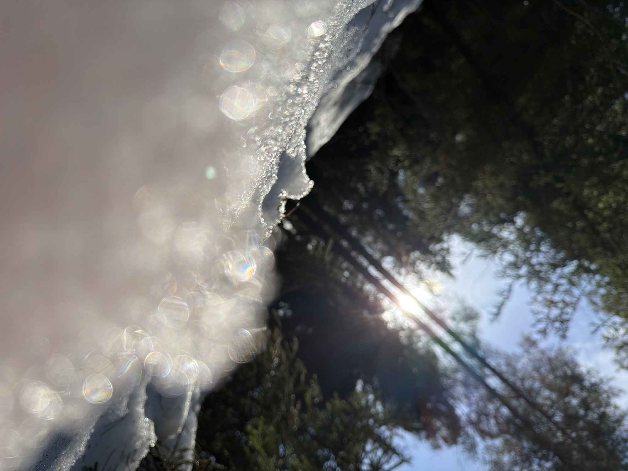 The image displays a low-angle, close-up perspective of snow, likely a snowdrift, in a forested environment within the city of Chaikovsky, Russia. The foreground is dominated by a sharply detailed surface of crystalline snow, illuminated by direct sunlight, creating numerous bright, circular bokeh effects. Some of these bokeh circles exhibit prismatic, rainbow-like chromatic aberration. The lower portion of the frame consists of an out-of-focus white mass. The midground and background consist of heavily blurred, dark green evergreen trees, indicating a dense forest canopy. A strong sunburst is visible through the tree line in the upper right, casting bright flares and illuminating patches of clear blue sky. No human subjects, animals, or man-made objects are identifiable. The scene depicts a sunny, cold outdoor environment.