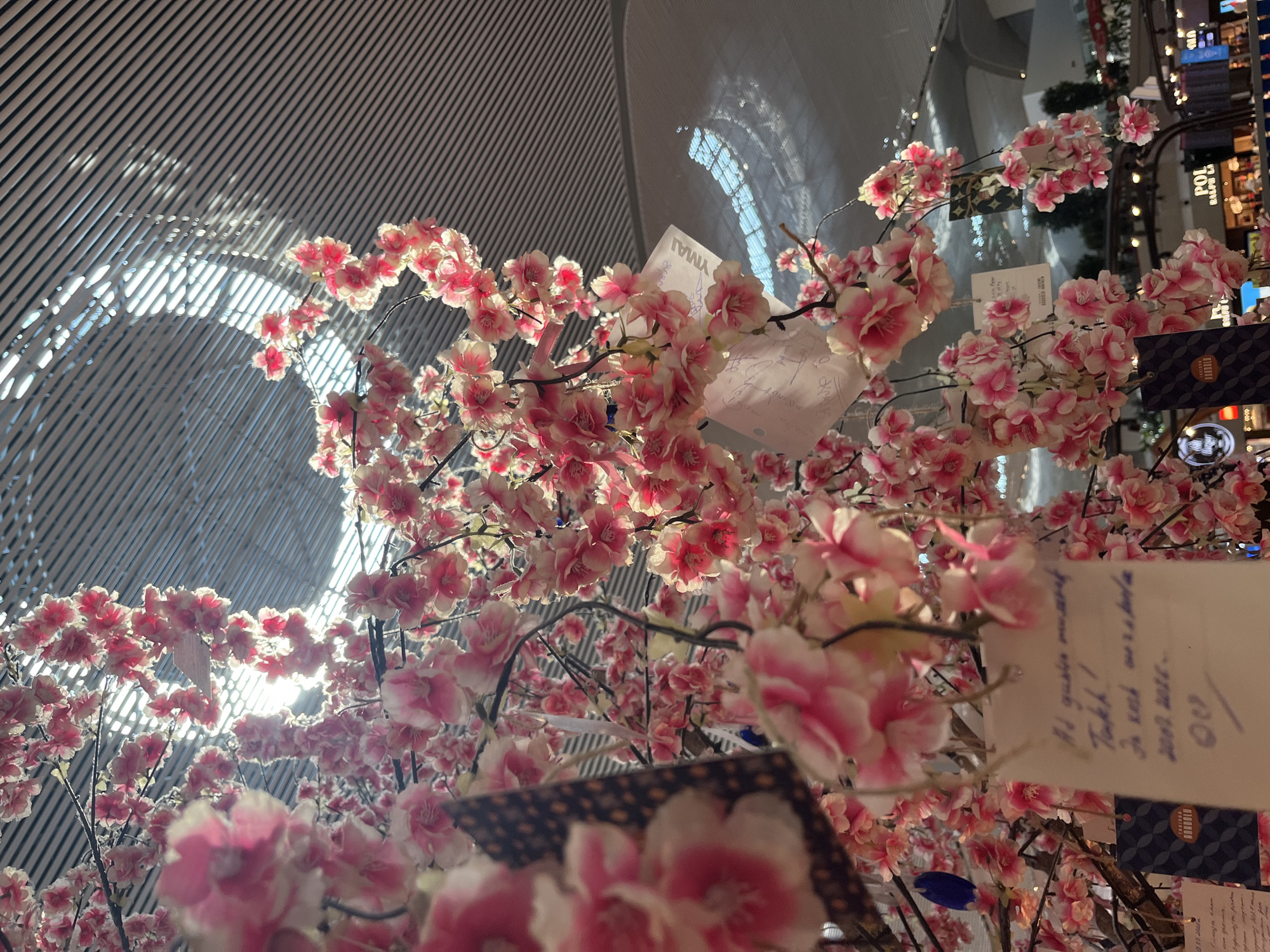 In the city of Arnavutköy, Turkey, an artificial cherry blossom tree is displayed indoors. The tree is adorned with numerous pink and white blossoms, some of which are backlit by sunlight filtering through a patterned ceiling. Several notes or tags are attached to the branches. One tag in the foreground, written in blue ink on a light-colored paper, reads: "Al gusler mustaf Turk! Ye xut nuzden 2027-2028. QU". In the background, a modern architectural ceiling with parallel lines is visible, casting striped shadows. The lower part of the image shows a glimpse of what appears to be a retail or dining area, with signs for "ANADOLU" and "POLO RALPH LAUREN". The scene is a still life, with no people or active interactions captured.