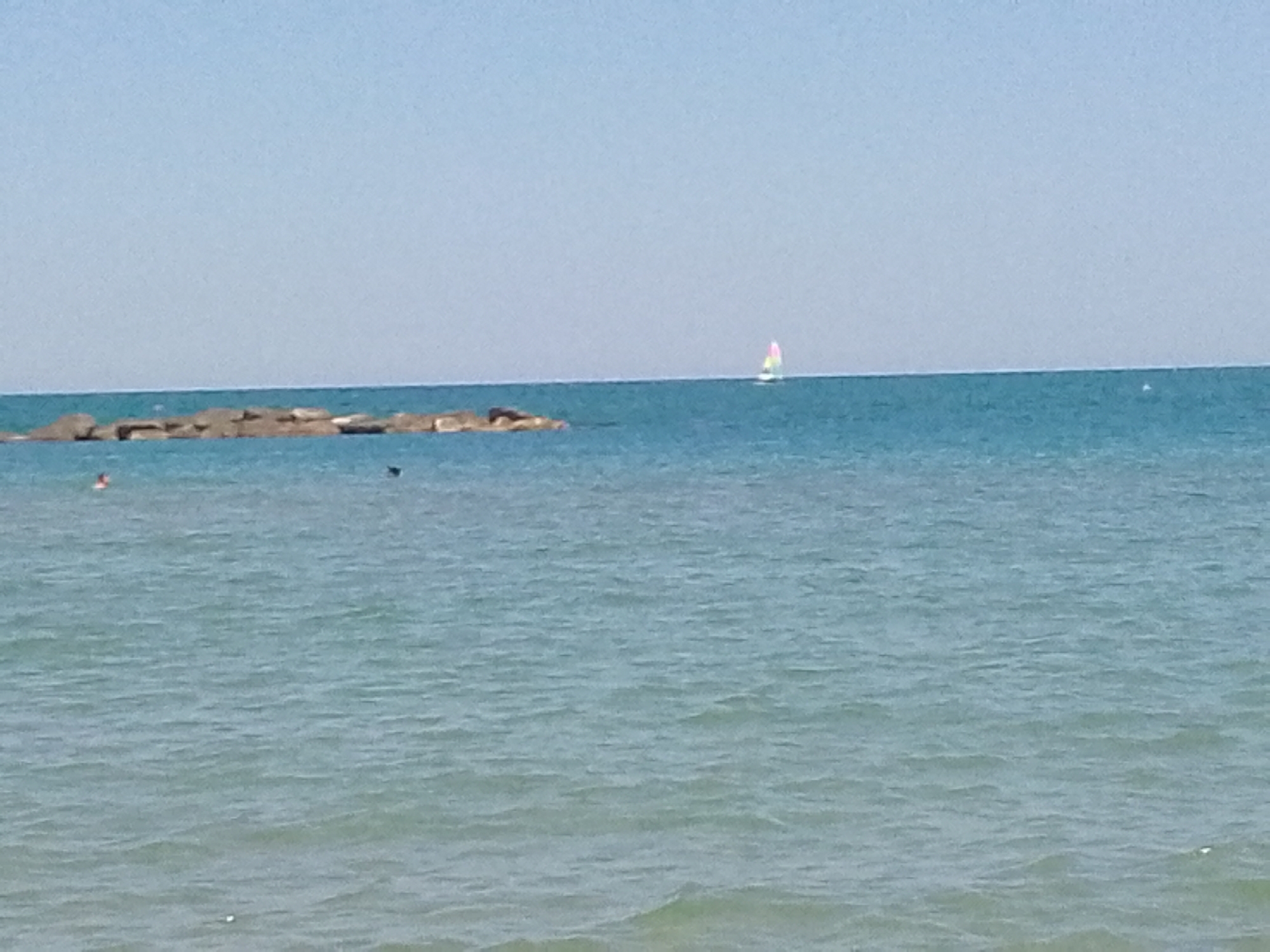 The image depicts a tranquil seascape with a clear blue sky and calm ocean. A long, low-lying breakwater made of rocks stretches across the middle ground, with a few scattered rocks visible in the foreground as well. In the distance, a small sailboat with colorful sails is visible on the horizon. The water appears clear and light blue, with gentle ripples on its surface. A person can be seen swimming or wading in the water to the left of the breakwater, and there is a dark object in the water further to the left, possibly a bird or another swimmer. The overall scene evokes a sense of peacefulness and relaxation, suggesting a warm and sunny day at the beach. The time of day appears to be midday, given the bright sky and lack of strong shadows. The location cues suggest a coastal area, likely in Italy as per the provided context. No text is visible in the image.