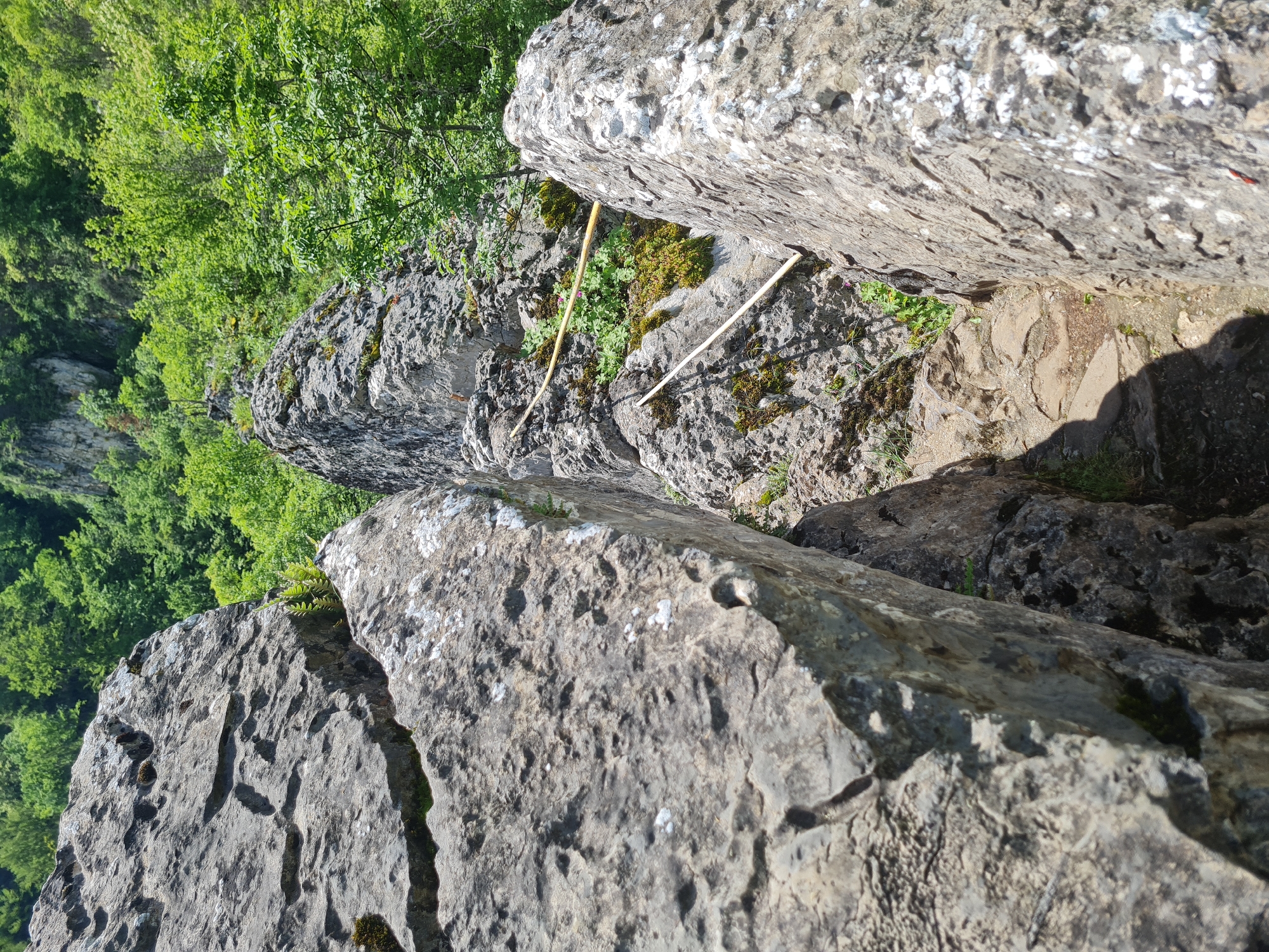 The image presents a downward view of a rocky terrain, potentially in the Unknown region. Large, gray-toned rocks dominate the foreground and center of the frame, displaying textured surfaces with areas of moss or lichen growth. Two light-colored, slender sticks are wedged between the rocks, suggesting they might be placed there intentionally. Lush green foliage and trees are visible in the background, indicating a natural environment with dense vegetation. The scene lacks indications of human presence or built structures, emphasizing a remote or natural setting.
