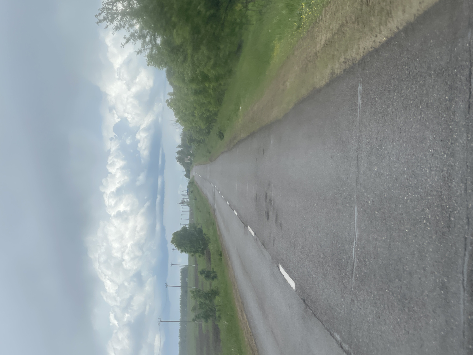 The image depicts a long, straight asphalt road stretching into the distance. The road is marked with a white line along the side. The environment on either side of the road consists of green grass, trees, and telephone poles. The sky above is cloudy and overcast. The photo appears to be taken in the location of Петрово, Russia.