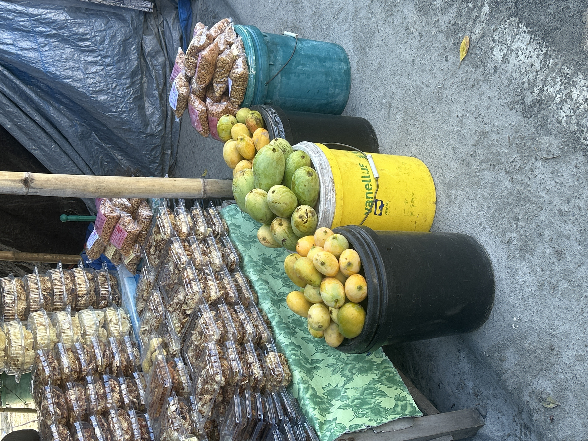 This is a close-up, eye-level shot of a street market stall in Bira, Indonesia. The stall is selling various food items, primarily packaged snacks and fresh mangoes. In the foreground, three large plastic buckets are prominent. A black bucket is filled with ripe mangoes, some yellow and some green. Next to it, a bright yellow bucket, labeled "vanellus 20W-50", also contains a large pile of mangoes, predominantly green with some yellowing. To the right of these, a turquoise bucket holds bags of peanuts. Behind the buckets, a table is covered with a green floral tablecloth, on which are displayed numerous clear plastic containers filled with layered snacks, appearing to be crispy or fried. Behind the stall, a large, dark gray tarp is visible, suggesting the stall is either covered or situated against a temporary structure. A bamboo pole stands vertically to the left of the tarp. The ground is concrete, with some debris and a fallen yellow leaf. The lighting suggests it is daytime, with sunlight casting shadows. No people are visible in the frame.