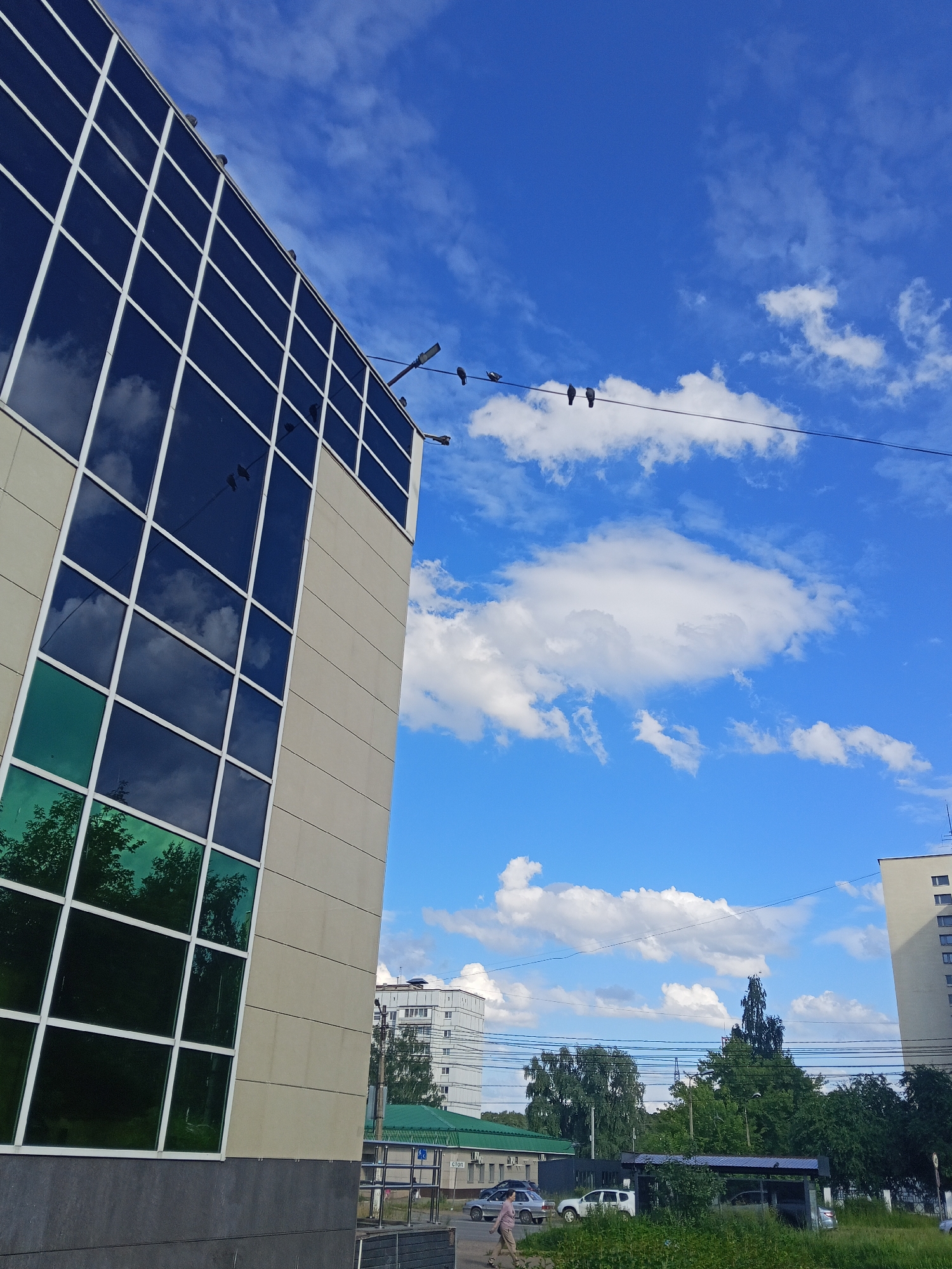 The media file shows a bright, sunny day with a clear blue sky dotted with fluffy white clouds. The scene is an urban environment, likely in Chaikovsky, Russia, as indicated by the provided location context.
In the foreground, a modern building with a facade of large, dark windows and lighter beige panels dominates the left side of the frame. The windows reflect the sky and trees. Perched on a wire running horizontally across the upper portion of the image are several dark-colored birds.
In the middle ground, there are more trees and other buildings, including a tall, light-colored residential building on the right. The scene appears to be a street or an area with some green space, as suggested by the grass and foliage at the bottom of the image.
A person is walking on the sidewalk in the lower part of the image, contributing to a sense of everyday activity. Several cars are visible, including a white SUV and a silver sedan. One of the cars is parked near a bus stop with a sign that reads "СТОП" (STOP in Russian). The overall atmosphere is calm and ordinary, with no indication of any particular event. The time of day is likely afternoon, given the bright sunlight and the quality of the light and shadows.