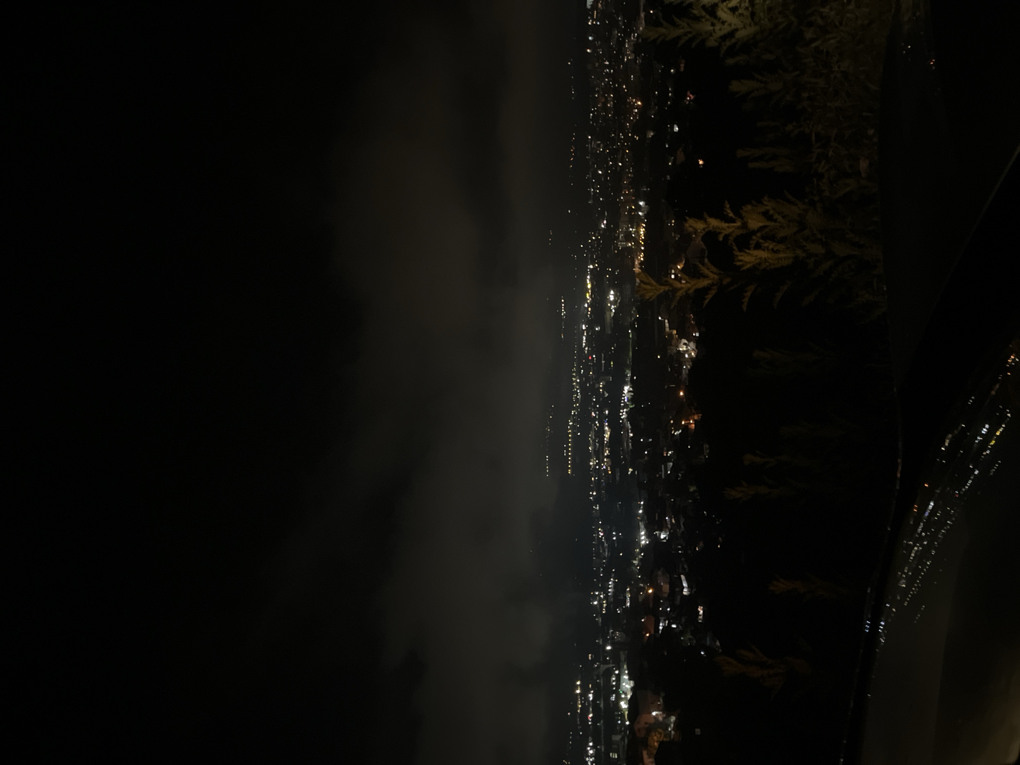 The image depicts a nighttime scene of what appears to be the city of Blagoevgrad, Bulgaria, viewed from an elevated vantage point. The right side of the frame shows vegetation or trees, possibly indicating a hillside or park area. The cityscape is characterized by numerous lights scattered across the landscape, suggesting residential or commercial areas. The left portion of the image is predominantly dark, potentially representing a cloud cover or open space.
