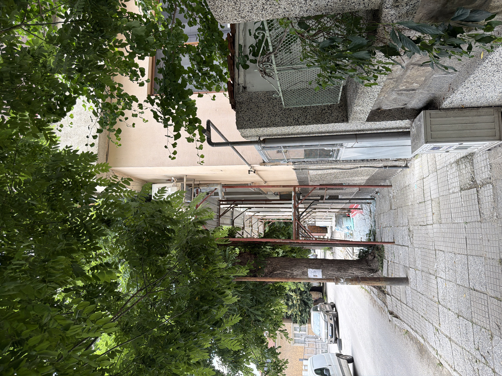 The image depicts a street scene in Pazardzhik, Bulgaria, likely in a residential or mixed-use area. A sidewalk, paved with square tiles, runs along the right side of the frame, bordering a building. The building's facade is a light pinkish-beige color, with visible windows and architectural elements. Scaffolding is erected along a portion of the building's exterior, suggesting ongoing construction or renovation.
A large tree with dense green foliage dominates the left and upper portions of the image, its branches extending over the sidewalk and street. The street itself is asphalted and appears to be a two-lane road. A silver car is parked on the street, and a white van is partially visible on the far left.
On the sidewalk, a metal utility box or cabinet stands near the building. A metal fence with a decorative pattern is visible further along the sidewalk. The ground shows some wear and tear, with cracks in the sidewalk tiles and debris scattered in places. Vegetation, including a climbing plant with dark green leaves, grows along the wall of the building. The overall impression is of an urban environment with a mix of residential structures, trees, and street infrastructure.
