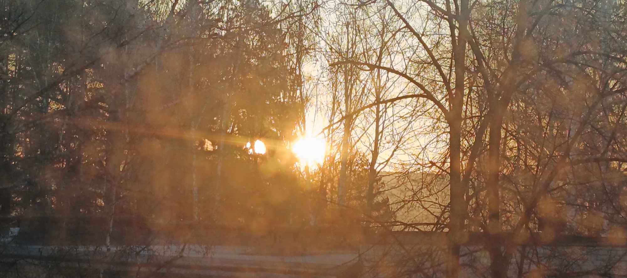The image depicts a sunset scene in Chaikovsky, Russia. Silhouetted bare trees dominate the foreground, their branches forming a dense network against the sky. The sun, a bright, white-yellow orb, is partially obscured by the trees, casting a warm golden glow and lens flare across the scene. A road or ground area is visible in the lower portion of the image, though details are obscured. The overall impression is one of a tranquil, possibly urban setting bathed in the light of a setting sun.