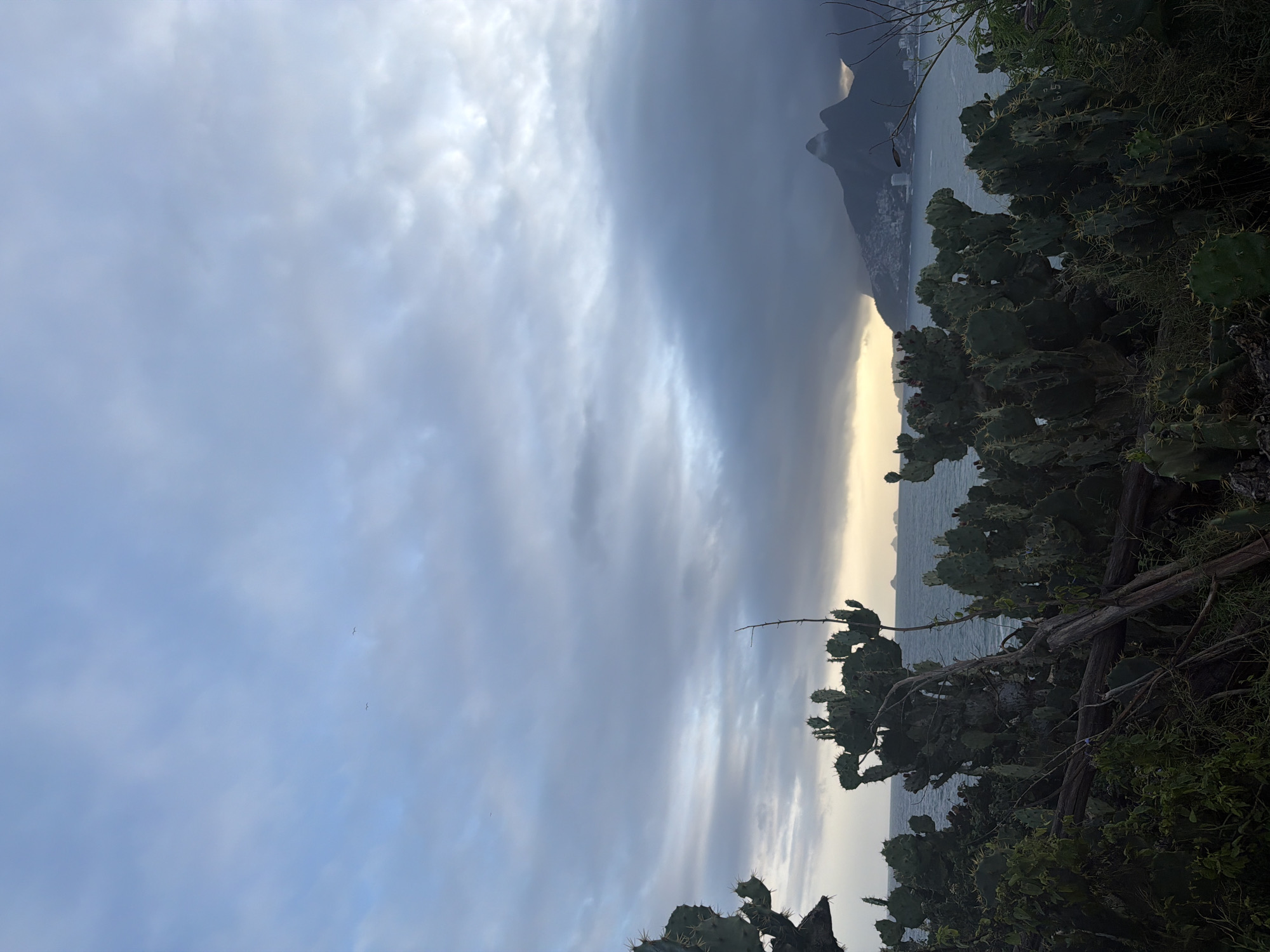 The image depicts a coastal landscape with prominent cactus plants in the foreground, obscuring a view of the ocean and distant mountains. The sky is overcast with dramatic clouds, suggesting either the early morning or late afternoon. In the distance, a city skyline is visible, nestled at the base of two distinct mountain peaks, which are characteristic of Rio de Janeiro. Specifically, the distinctive shape of the mountains suggests this is a view towards the iconic Dois Irmãos (Two Brothers) mountains, possibly taken from a vantage point along the coast of Ipanema or Leblon. The ocean is calm, with faint waves visible. There are no people or animals in the frame. The overall mood is serene, with a sense of natural beauty and urban proximity.