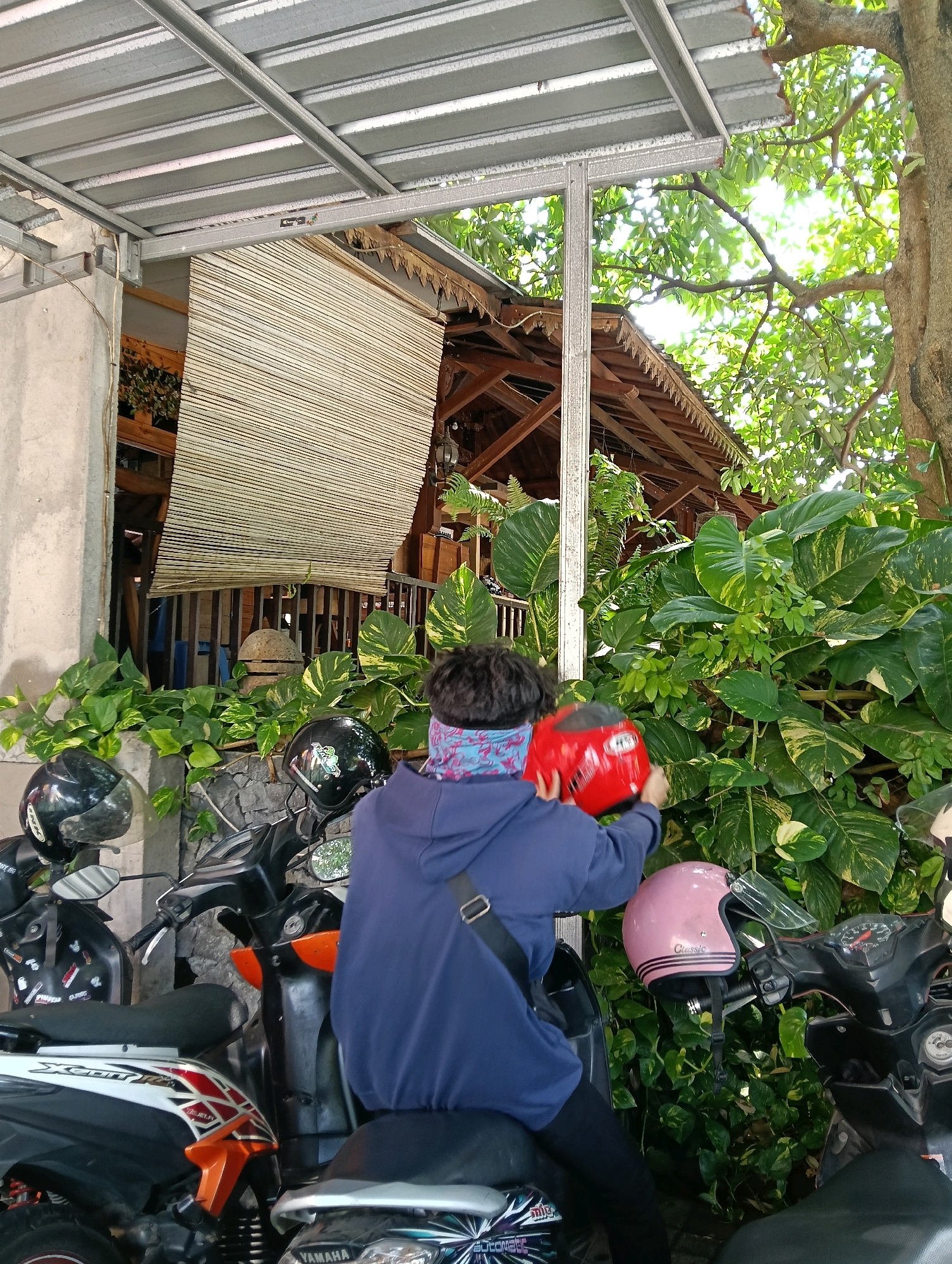 A person, viewed from the back, wearing a dark blue hooded sweatshirt and a patterned face covering, is standing next to a row of parked motorcycles. The person is holding a red helmet. To their right, a pink helmet is attached to the handlebars of a motorcycle. Behind the person and motorcycles is a lush green leafy plant wall, and further back is a building with a wooden roof and a bamboo shade. The scene appears to be outdoors, possibly in a parking area or courtyard.