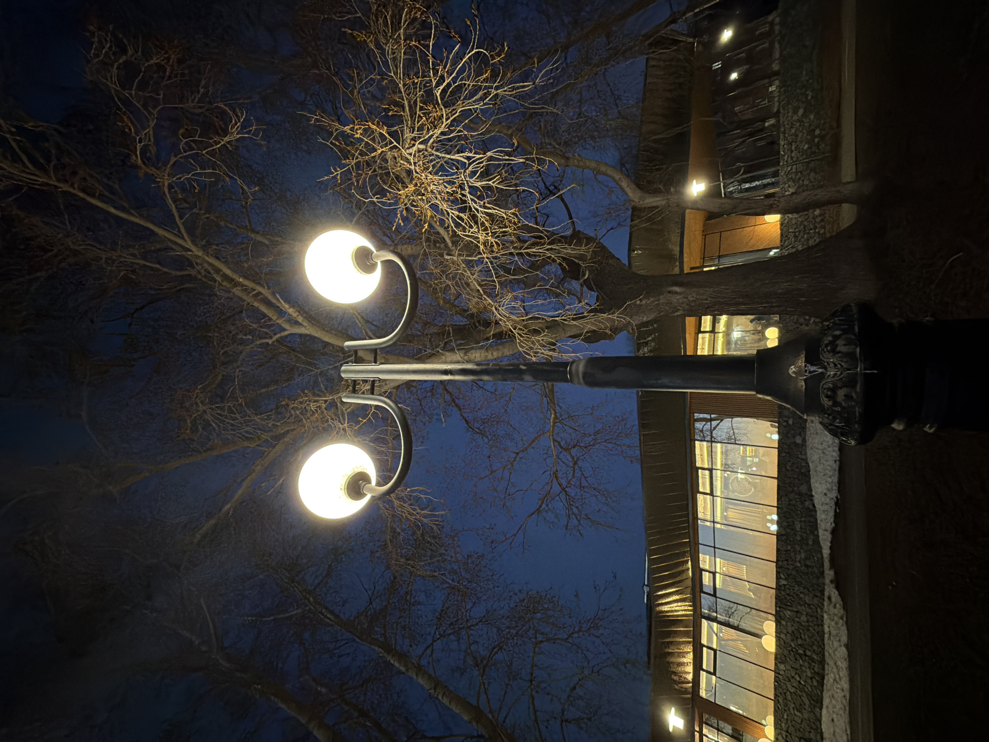 At night in Votkinsk, Russia, a low-angle shot focuses on a lamppost with two spherical lights. Bare tree branches surround the lights and spread across the dark blue sky. A building with large windows reflects the warm interior light, with stone accents on the exterior wall visible. The lamppost appears to be a primary focal point, and the overall scene captures a quiet, illuminated moment in an urban environment.