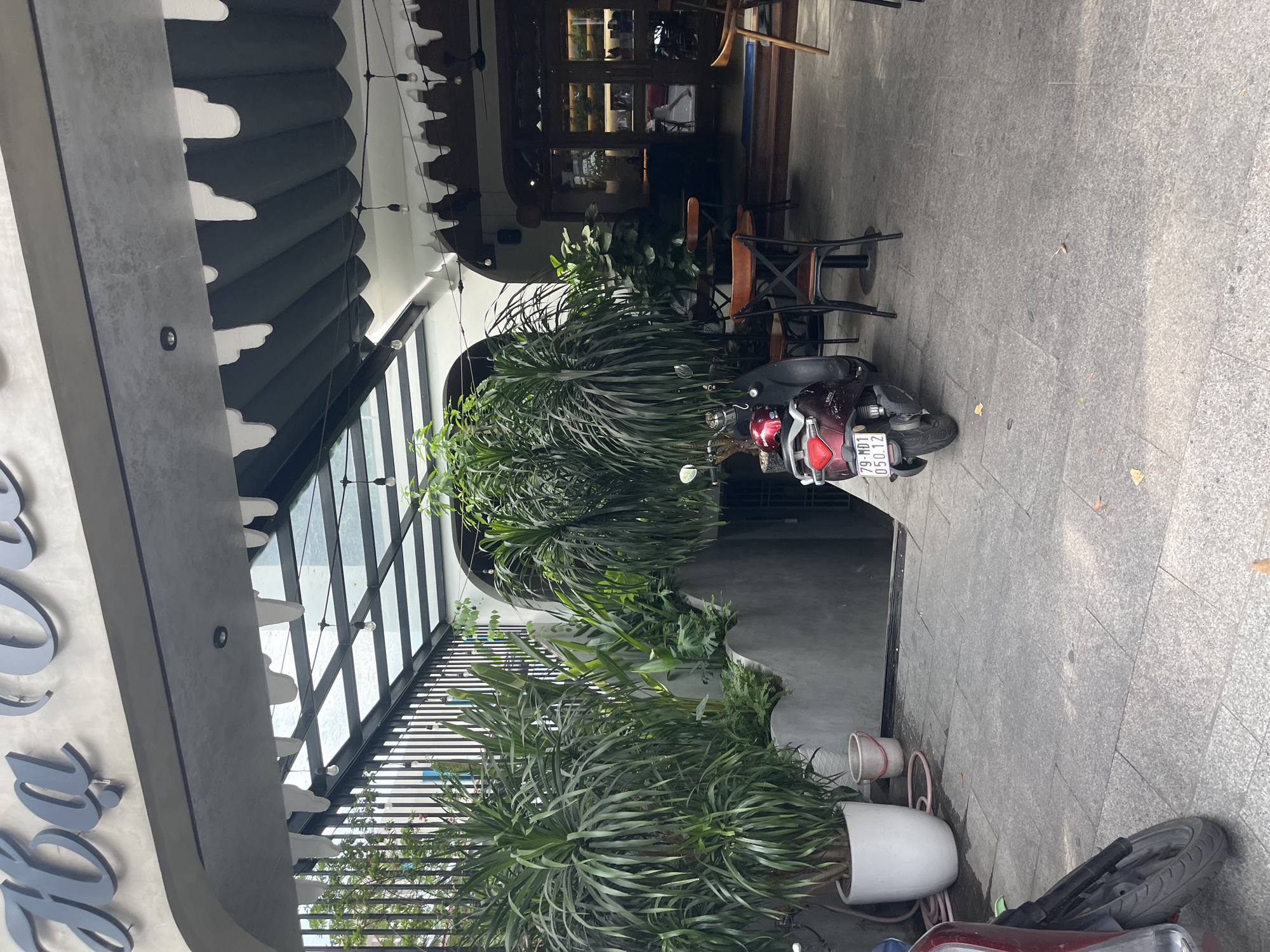 The image shows the exterior of a cafe in Nha Trang, Vietnam. The cafe has a modern design with a gray concrete overhang supported by a metal frame, featuring decorative white scalloped trim. Below the overhang is a glass ceiling with visible support beams. Large potted plants, including a tall plant with long, spiky leaves and other leafy greenery, are situated in the foreground and to the left. A maroon scooter is parked to the left, partially obscuring a large white pot. To the right of the scooter, a dark gray scooter is visible with its license plate reading "79-MD1 050.12". Beyond the scooters, outdoor seating with dark wooden chairs and tables is arranged. The entrance to the cafe features double wooden doors with glass panes. The ground is paved with gray square tiles. In the background, through the glass doors, the interior of the cafe is dimly lit with furniture and possibly patrons visible. The overall atmosphere suggests a contemporary cafe with a focus on greenery and outdoor seating.