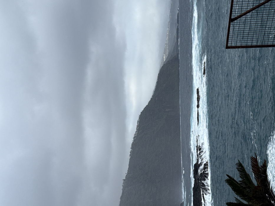 The image presents an overcast coastal scene at Mesa Del Mar, Spain. A uniformly grey, cloud-laden sky covers the upper half of the frame. Below, a turbulent, deep blue-green ocean features numerous white-capped waves actively breaking against dark, jagged volcanic rock formations situated in the foreground and midground. Along the left and central horizon, a steep, dark green mountain or cliff face rises, exhibiting subtle terracing and scattered vegetation. Further along the distant coastline to the right, a cluster of light-colored structures, likely a town, is visible on a remote hillside, partially obscured by atmospheric conditions. In the bottom left foreground, dark green fronds of a palm tree are partially visible. A rusted brown metal fence with a square grid pattern occupies the bottom right foreground, obstructing a portion of the ocean view. No individuals are present in the depicted scene.