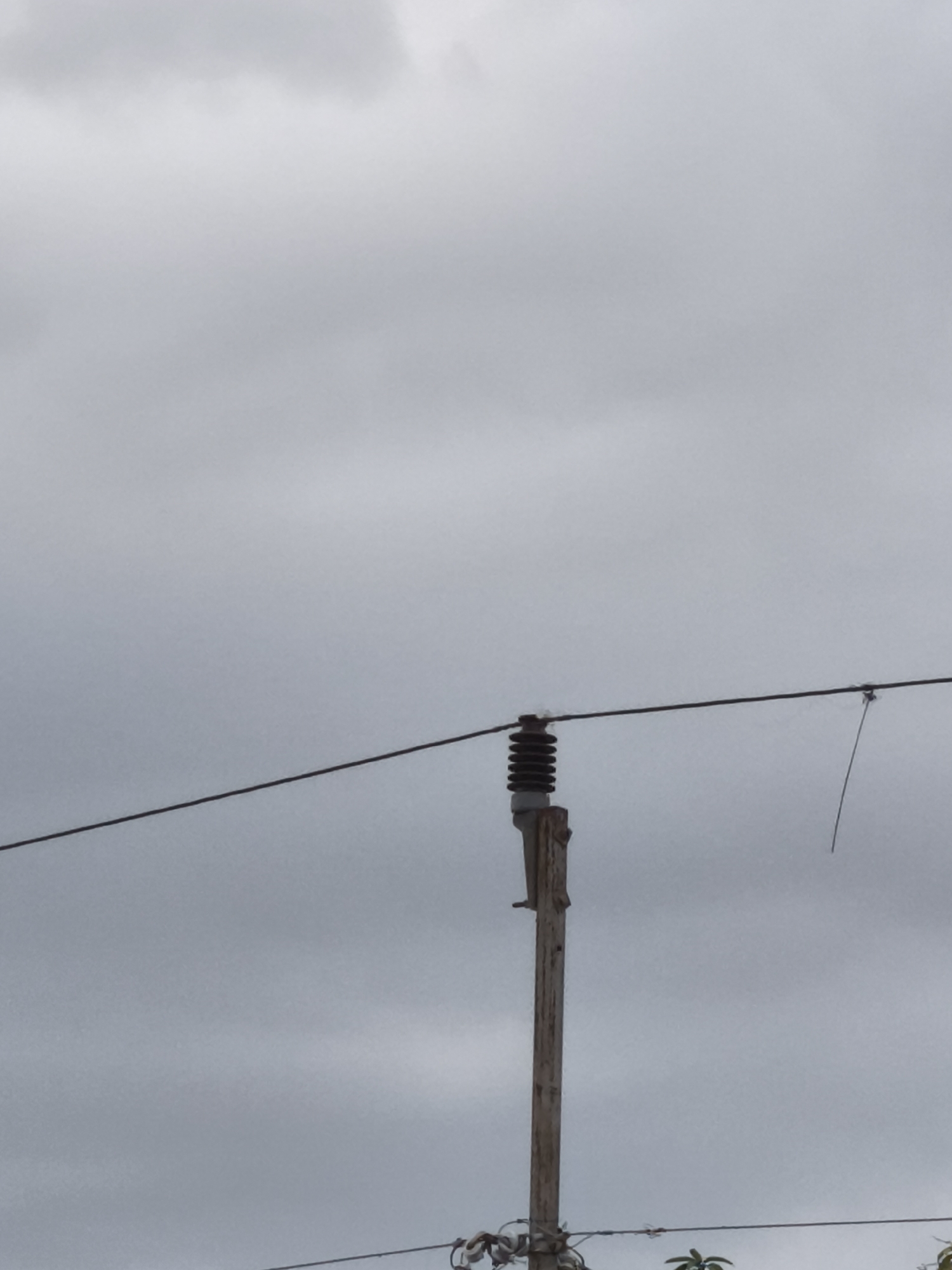 A medium-shot image shows a weathered wooden utility pole against an overcast sky. The pole is vertical and extends from the bottom of the frame upwards. It appears to be made of rough-hewn wood, with visible grain and imperfections. Attached to the top of the pole is a ceramic insulator, dark brown or black with multiple ribbed sections. A dark wire runs horizontally across the image, supported by the insulator. To the right of the insulator, a thin wire dangles downwards, appearing frayed or broken. The sky is a uniform, dull gray, suggesting a cloudy or overcast day. There are no people visible in the image. The scene is likely outdoors, given the utility pole and wire. There is no indication of the specific location in Yogyakarta, Indonesia.