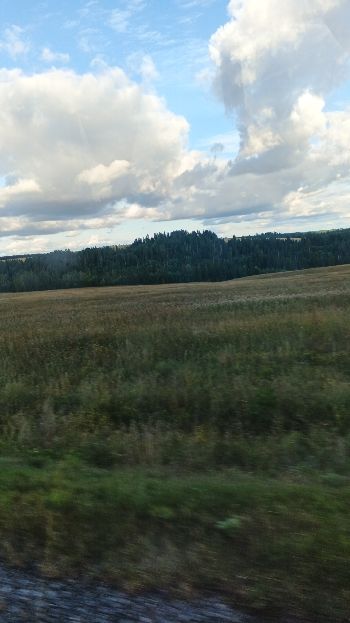 The image depicts a rural landscape under a cloudy sky. In the foreground, a blurry field of grass extends towards a wooded area. The field is predominantly green and brown, with some patches of yellowing vegetation. Beyond the field, a dense forest of dark green trees covers a rolling hillside. The sky above is a mix of blue and white clouds, with sunlight breaking through in some areas, casting soft rays. The overall scene suggests a natural, undeveloped environment. There are no people or man-made structures visible in the image. The location is identified as Buranovo, Russia.