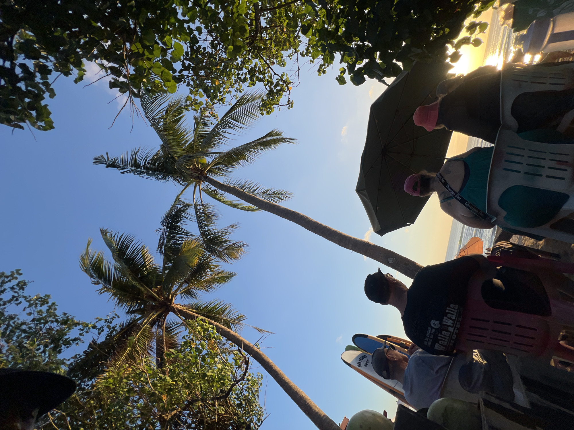 In Kuta, Indonesia, at sunset, four individuals are seated on chairs facing the ocean. Two are men, and two are women. The men are on the left side of the frame, one wearing a gray t-shirt and a black cap, the other a black t-shirt with text and a black cap. They are positioned behind a stack of surfboards. The women are on the right, one in a green tank top and pink cap, the other in a dark jacket and a pink hat. An open umbrella shades them. The scene is set on a sandy beach with palm trees framing the sky and lush green foliage visible. The ocean is calm, reflecting the warm glow of the setting sun.