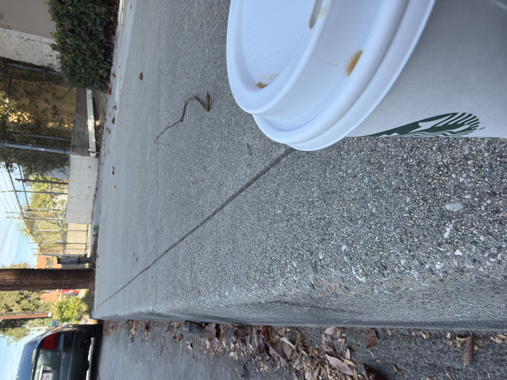 A disposable white coffee cup with a white lid and a green Starbucks logo on its side is placed on a concrete sidewalk near a curb. Scattered brown leaves are visible on the street next to the curb. A thin, dry twig lies on the sidewalk in the background. A dark-colored car is parked on the street to the left of the image. In the background, a chain-link fence and some buildings are visible. The scene appears to be a street in Pasadena, California, United States of America, during the daytime.