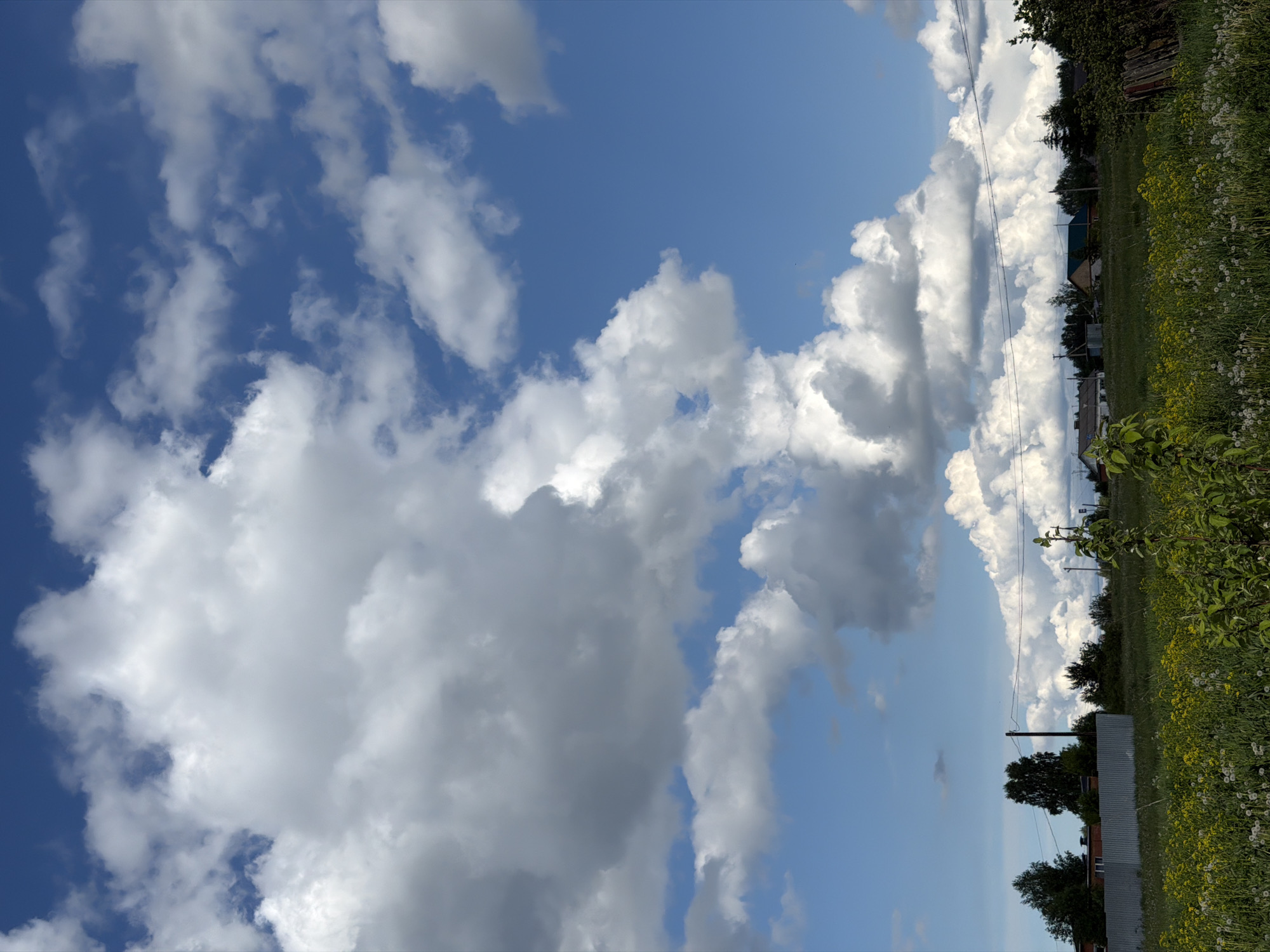 The image depicts a landscape in Ol'khovo, Russia, under a partly cloudy sky. In the foreground, a grassy field with wildflowers and some dense foliage. In the background, a line of trees partially obscures buildings. Power lines stretch across the scene. Cumulus clouds are prominent in the sky, some with shadows indicating varying depth. The image orientation is vertical.
