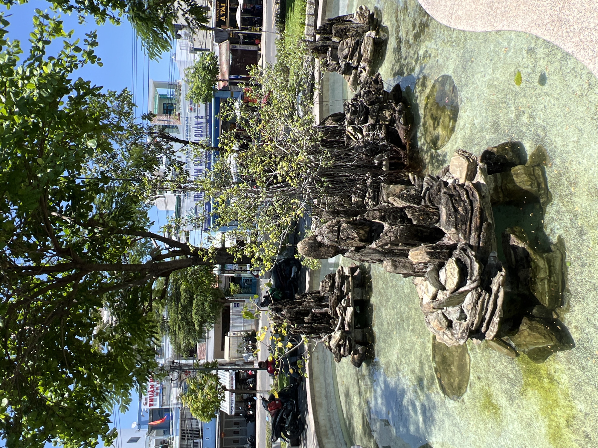 The image depicts a sunlit urban streetscape in Nha Trang, Vietnam. In the foreground, a shallow, irregularly shaped concrete water feature or pond contains several sculpted rock formations, some of which host small trees or substantial leafy plants with visible aerial roots. The water is largely clear, revealing a light-colored, granular bottom with patches of green algae; a single green leaf floats on the surface.
Behind the water feature, a paved area features multiple black motorbikes (scooters) parked side-by-side. A solitary individual wearing a red shirt and dark trousers is partially visible on the left, seated or resting near one of these parked motorbikes. Beyond this paved section, a street runs horizontally across the midground.
Across the street, a line of multi-story buildings with varied facades stands under a clear blue sky. Prominent signage in Vietnamese is visible on these structures, including "TRUNG TÂM SÀI QUÁN 2," "BÁNH NGỌT TÂN HÙNG," "THUAN," and "BARBER SHOP A TÀI." The scene is rich with green foliage, featuring large, mature trees overhead that cast shadows, and smaller shrubs and trees lining the street and within the landscaped areas. Overhead utility wires are visible against the sky.