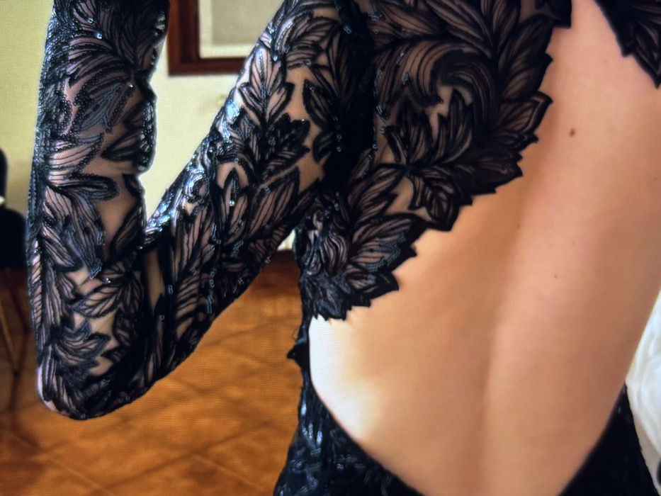 A close-up image shows the back and left arm of a person wearing a dark, ornate, long-sleeved gown. The back is partially exposed. The gown has a lace-like pattern of swirling leaves, possibly embroidered or appliqued onto a sheer fabric. Tiny reflective sequins embellish the pattern, adding sparkle. The background is softly blurred, revealing a glimpse of wooden flooring and a framed picture.
