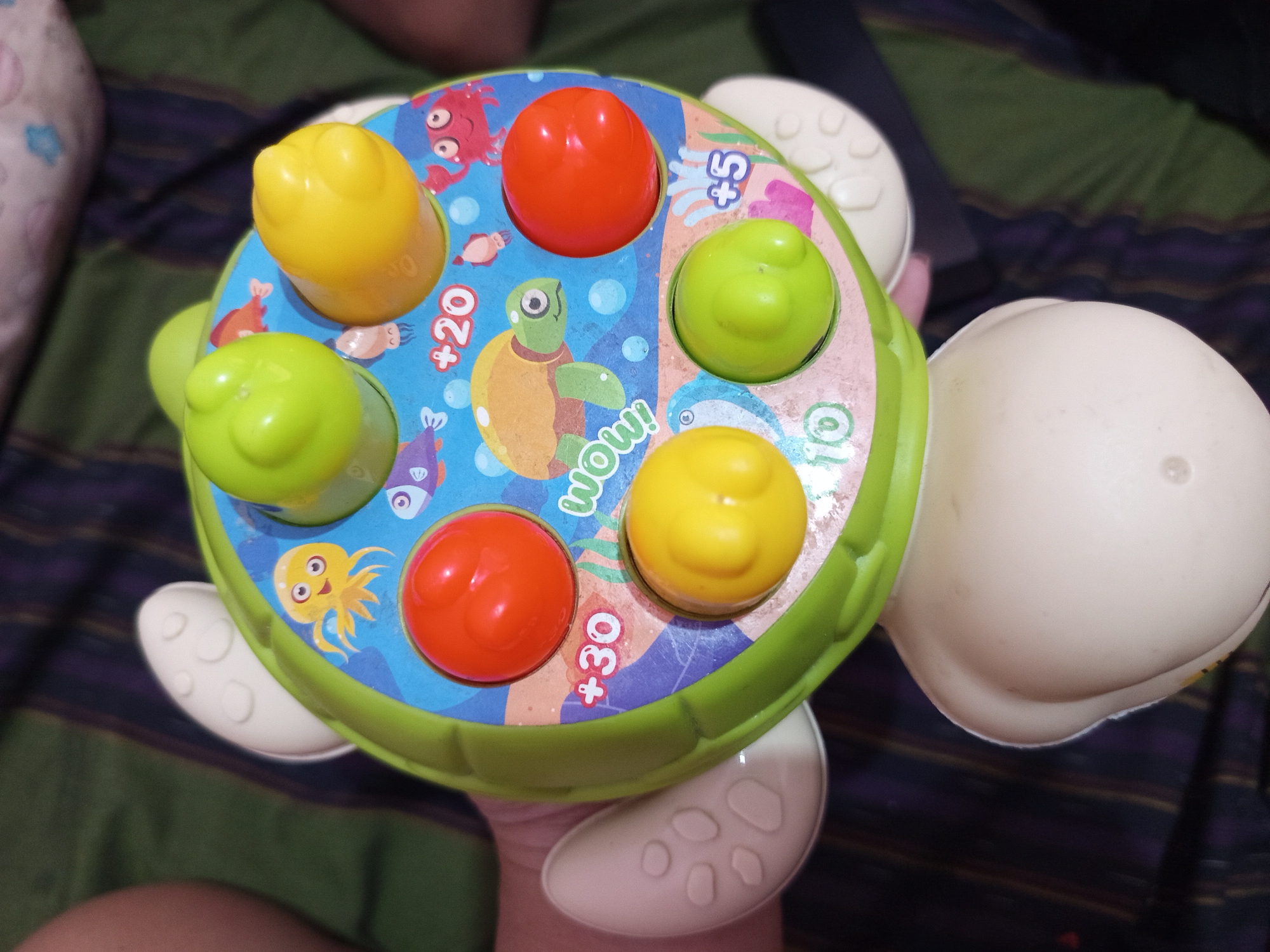 A green and white turtle-shaped toy is held by a person's hands against a striped green and purple blanket. The toy has a round, colorful top with five large buttons in red, yellow, and green. The buttons are spherical and protrude from the toy's surface. The toy's shell is light tan and rounded, with small indentations on its surface. The toy is on a striped blanket. The person's hands are visible holding the toy. The location is described as Tebel, Indonesia.