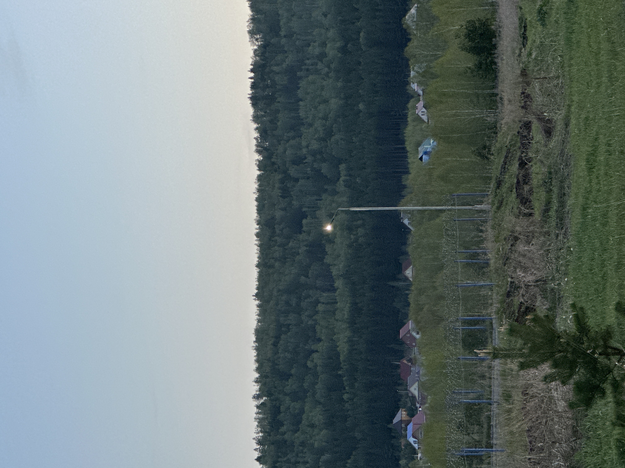 A landscape scene showcases a dense, dark green forest juxtaposed against a pale sky. The scene transitions into a mix of residential and agricultural areas. A line of houses with varied roof colors is situated next to the forest. Beyond the houses are fields of green grass and what seems to be rows of crops or vegetation supported by trellises and wires. A lamppost stands next to the forest line illuminating the surroundings. A pine tree is visible in the foreground.