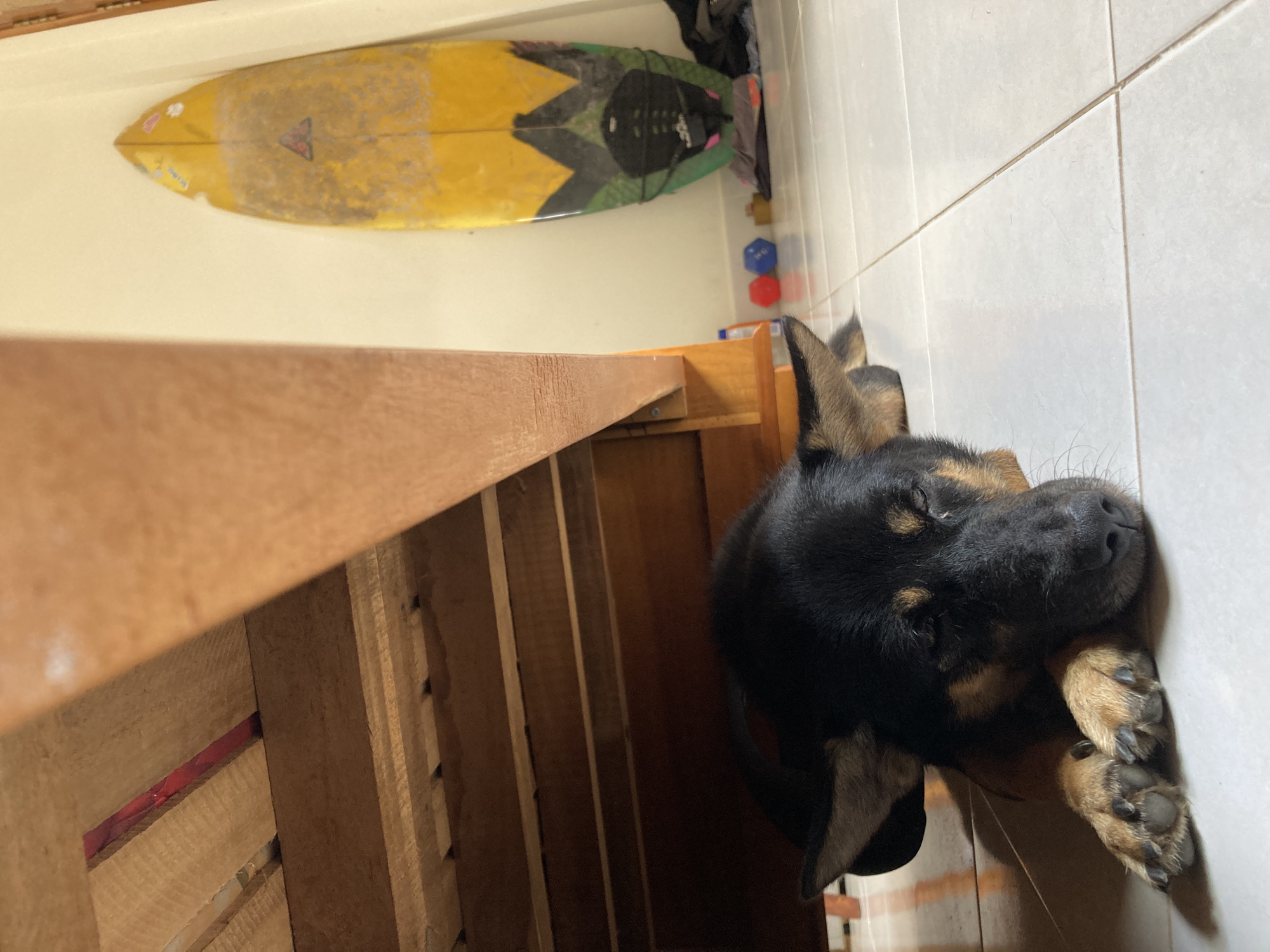 A photograph taken in what appears to be a domestic setting in Mũi Né, Vietnam, shows a black and tan dog sleeping on a tiled floor. The dog is positioned in the lower right of the frame, with its head resting on its paws. A wooden structure, possibly a bed frame or shelving unit, is visible to the left of the dog. In the upper part of the image, a surfboard is leaning against a wall. A few colorful toys are situated to the right of the surfboard. The angle of the photo suggests it may have been taken from an elevated position. The tiled floor is white, contrasting with the dark fur of the dog.