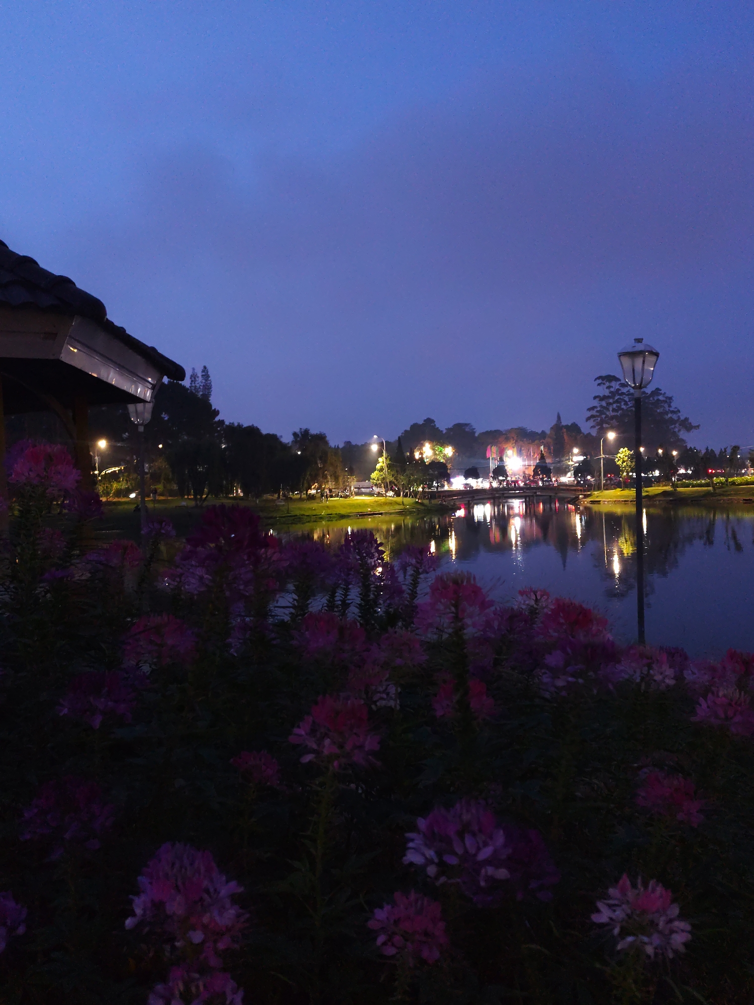 The image shows a night scene in Da Lat, Vietnam, featuring a lake, flowers, and city lights. In the foreground, clusters of pink and purple spider flowers (Cleome) are visible. To the left, the edge of a tiled roof structure is present. Beyond the flowers, a body of water reflects the lights from the city across the water. Several street lamps illuminate the area, casting reflections on the lake surface. A bridge is visible in the background, bustling with vehicles and pedestrians. The sky is dark blue, indicating dusk or night. The overall scene captures a serene and illuminated urban landscape in Da Lat.