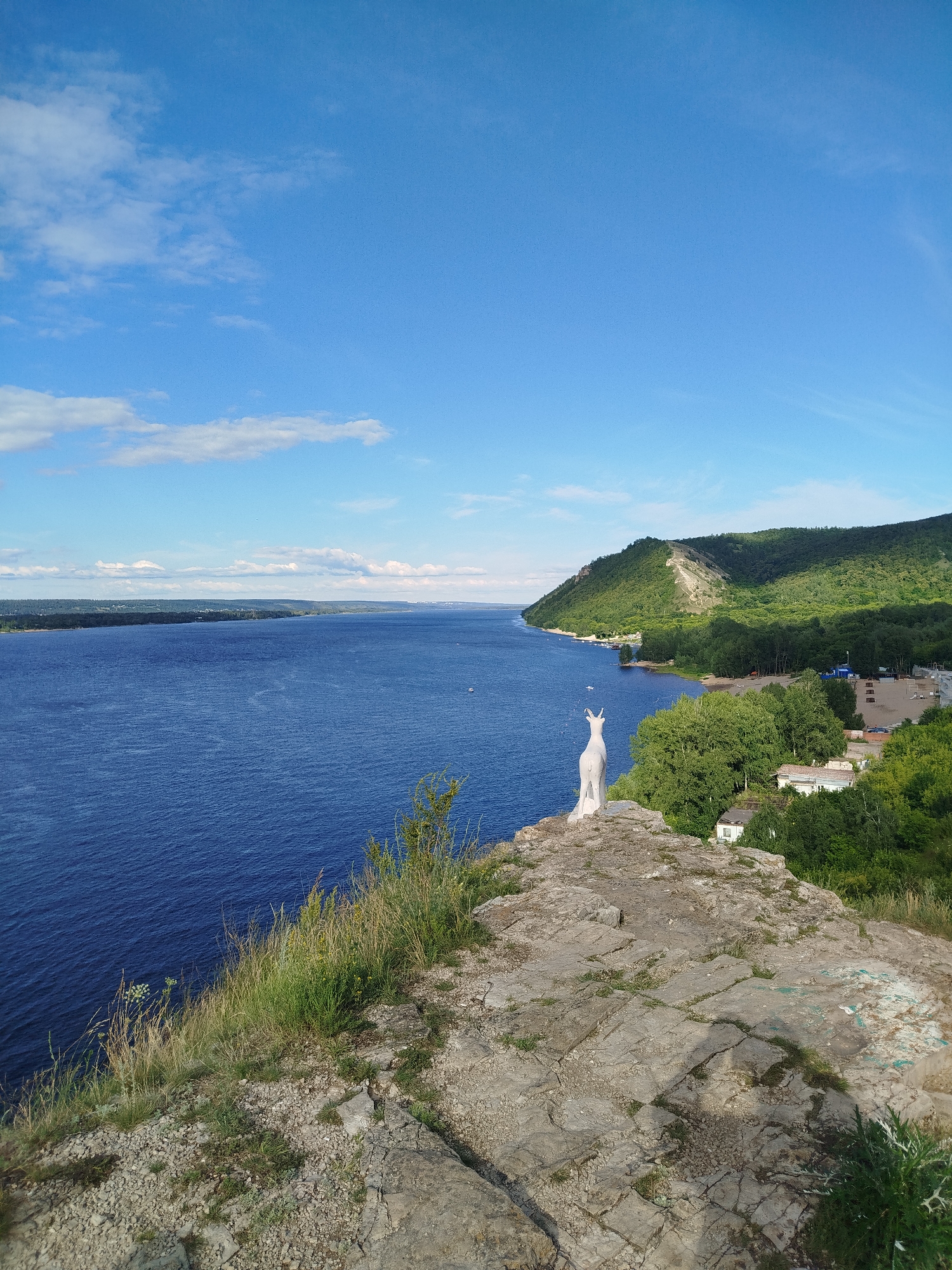 The image captures a scenic view from a rocky cliff overlooking a wide, blue river. On the rocky outcrop in the foreground, a white, stylized statue of a goat stands facing the water. The cliff is covered with sparse green grass and rocks. Beyond the river, a green, tree-covered hillside rises, with a sandy beach visible along its base. A few small buildings and a road are nestled amongst the trees on the hillside. The sky is a clear, bright blue with scattered white clouds. The overall scene suggests a natural landscape with some human presence in the distance, characteristic of the Samarskaya Luka National Park near the city of Zhigulyovsk, Russia.