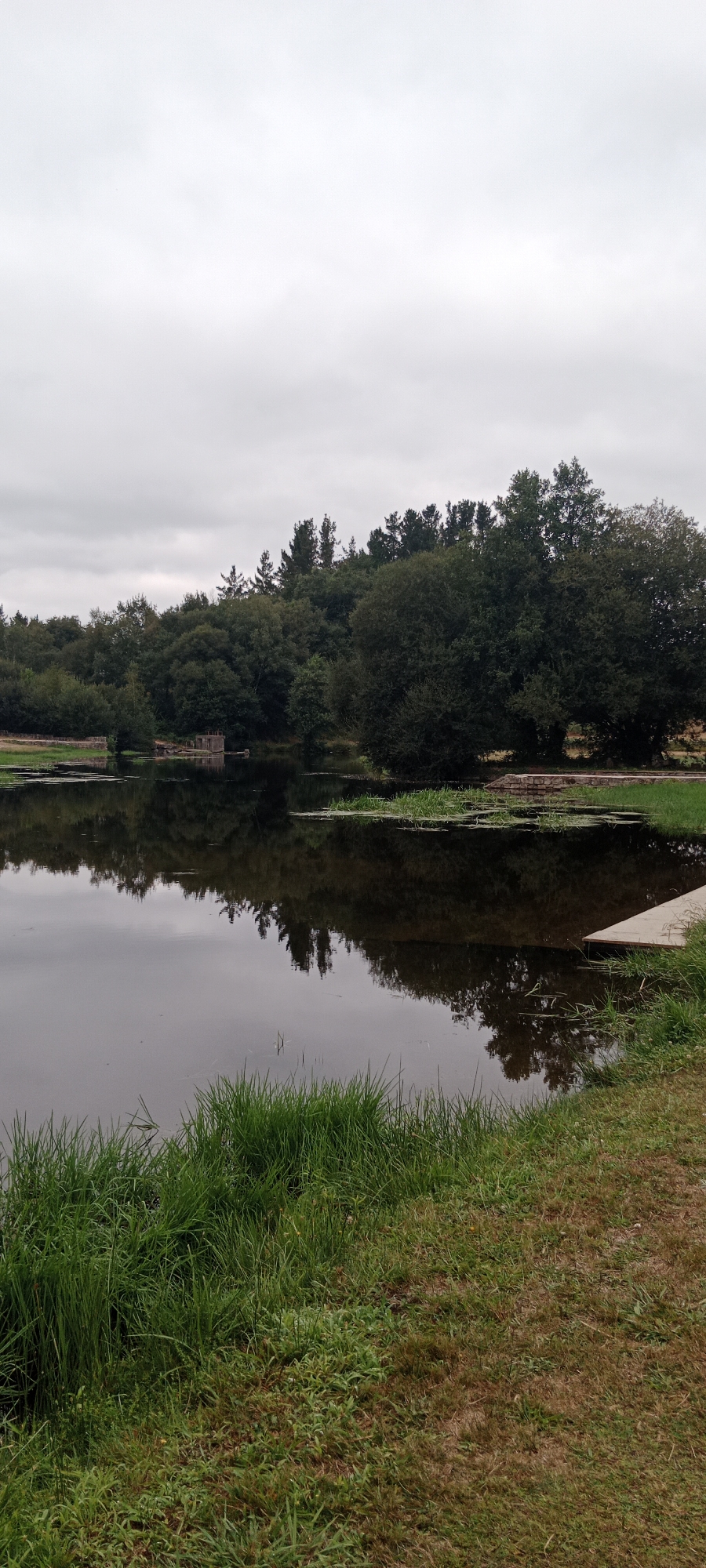 The image shows a calm lake reflecting a dense forest and an overcast sky. The foreground features lush green grass along the edge of the water, with some patches of dry grass and sparse vegetation. A wooden structure, possibly a platform or pier, is visible on the right side of the lake. In the middle ground, the lake is dotted with patches of aquatic vegetation. The background is dominated by a thick forest with a variety of trees, and in the distance, there are some remnants of old stone structures. The scene appears to be a natural landscape, likely a park or recreational area within or near a rural setting. The image does not provide any specific information about the city of O Corgo, Spain.
