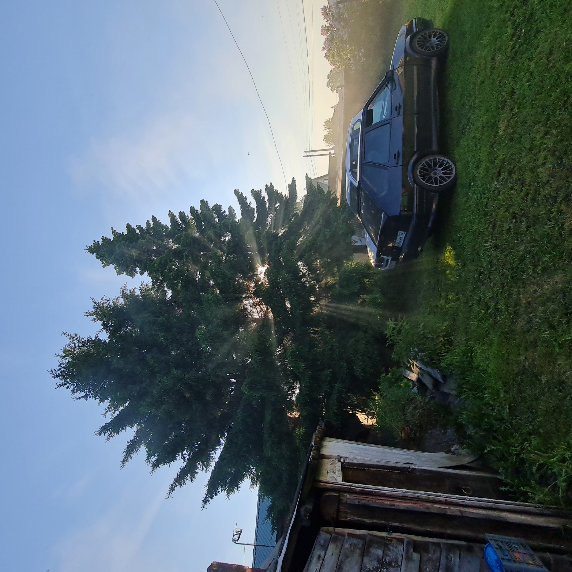 The image depicts an outdoor scene in Новостройка, Russia, characterized by early morning or late afternoon sunlight filtering through dense coniferous trees. The foreground and mid-ground are covered in green grass. On the left, a rustic, weathered wooden shed with a visible blue plastic crate nearby stands partially in shadow. Behind the shed, a building with a dark blue corrugated metal roof and a chimney is visible. Two large, dark green fir or spruce trees dominate the center, with prominent crepuscular rays of sunlight emanating from behind their foliage. To the right of the trees, two vehicles are parked on the grass. The primary vehicle is a dark-colored hatchback (likely a Lada Samara model) with aftermarket multi-spoke alloy wheels and a visible rear license plate displaying "O14HM 162". Partially obscured behind it is a lighter-colored sedan or wagon. In the background on the right, utility poles with multiple power lines stretch across the frame, with a small bird silhouetted against the sky near the top-left power line. Further right, a bush with light purple blossoms is visible, and faint outlines of other distant structures or fences appear through a light atmospheric haze. The sky is a clear light blue, transitioning to a brighter, hazy hue near the horizon on the right.