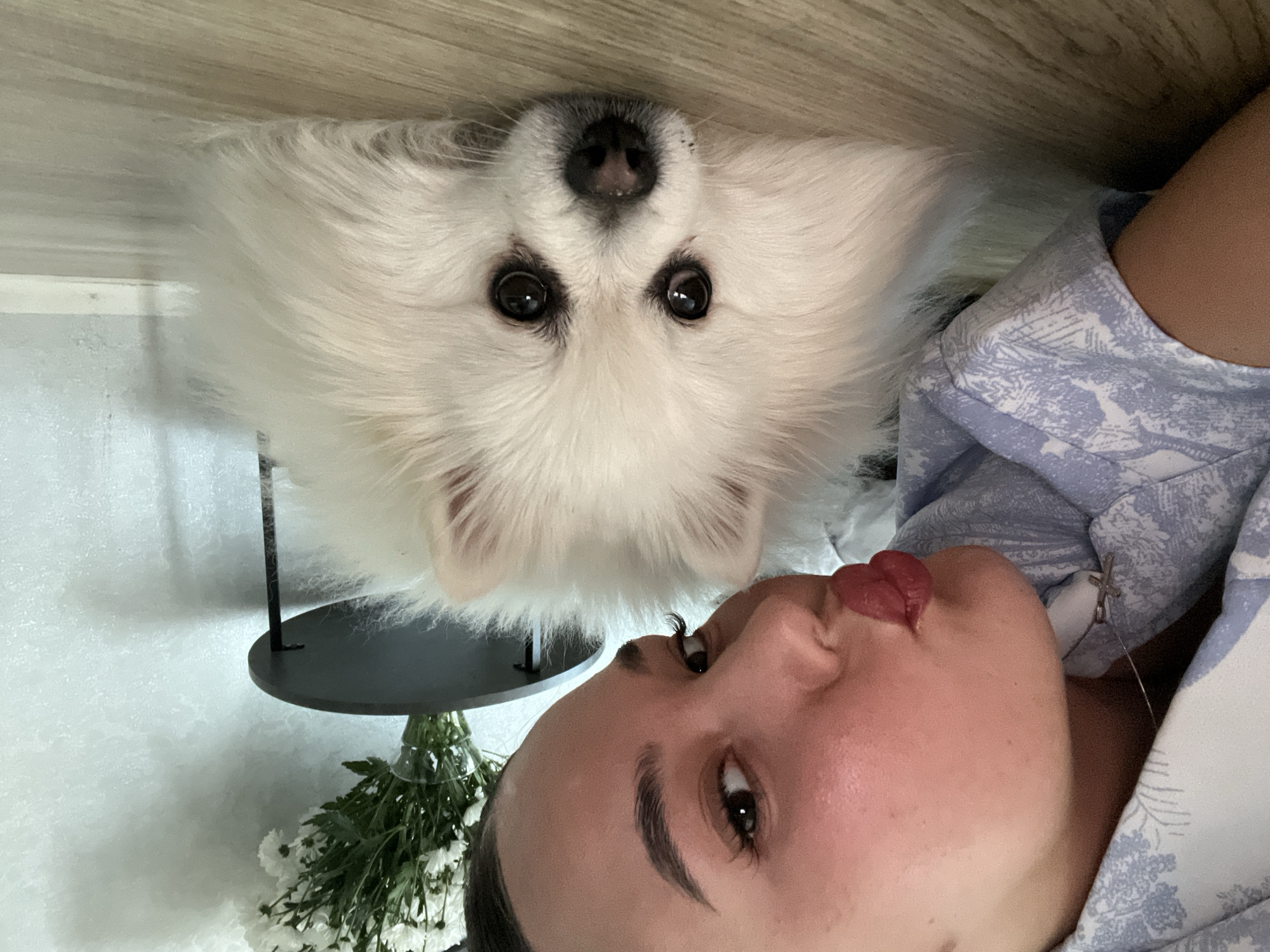 A selfie image shows a woman and a white, fluffy dog. The dog is above the woman's face, its nose and eyes prominently featured. The woman has her lips pursed slightly. In the background, there are flowers in a vase on a black table, and a light-colored wall. It is not possible to ascertain that the location is Лобаново, Russia, or even Russia, from the image.
