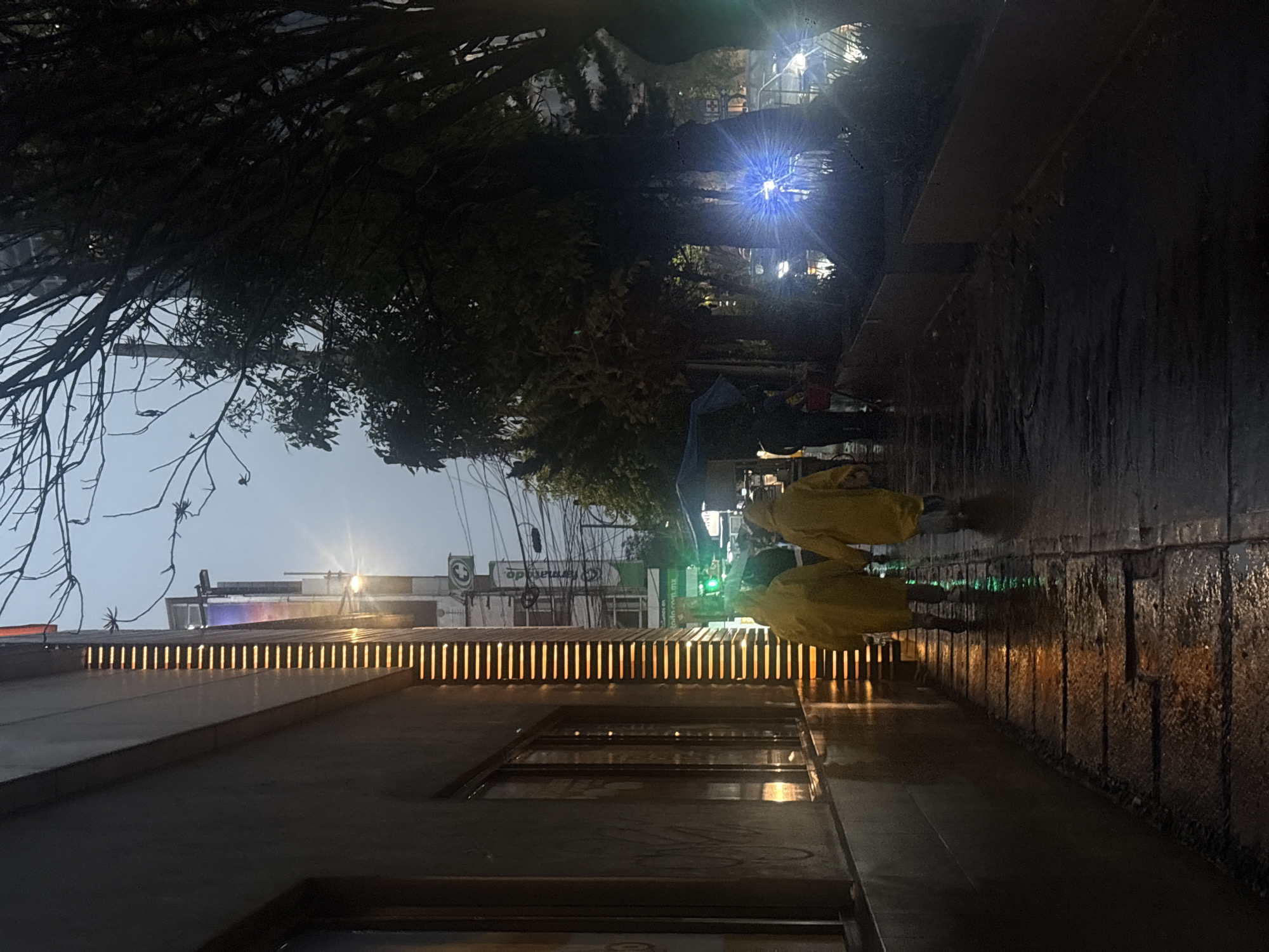 Two individuals in yellow raincoats walk on a wet sidewalk at night in Mexico City, Mexico. The building to the left features illuminated horizontal lights. Street signs are visible, indicating commercial establishments. Trees overhang the scene, partially obscuring a streetlight that casts a bright glare.